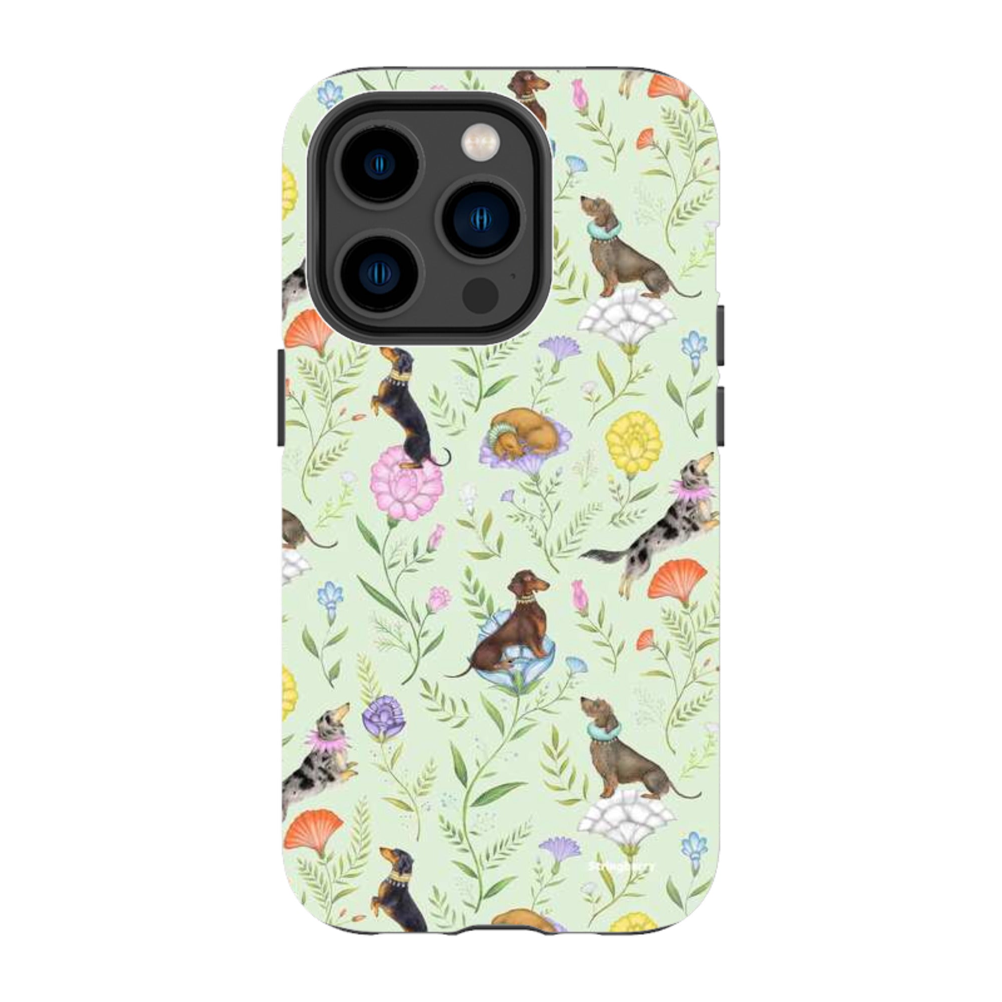 iPhone MagSafe Tough Case -  Doxy Day Afternoon Pistachio By Catherine Rowe