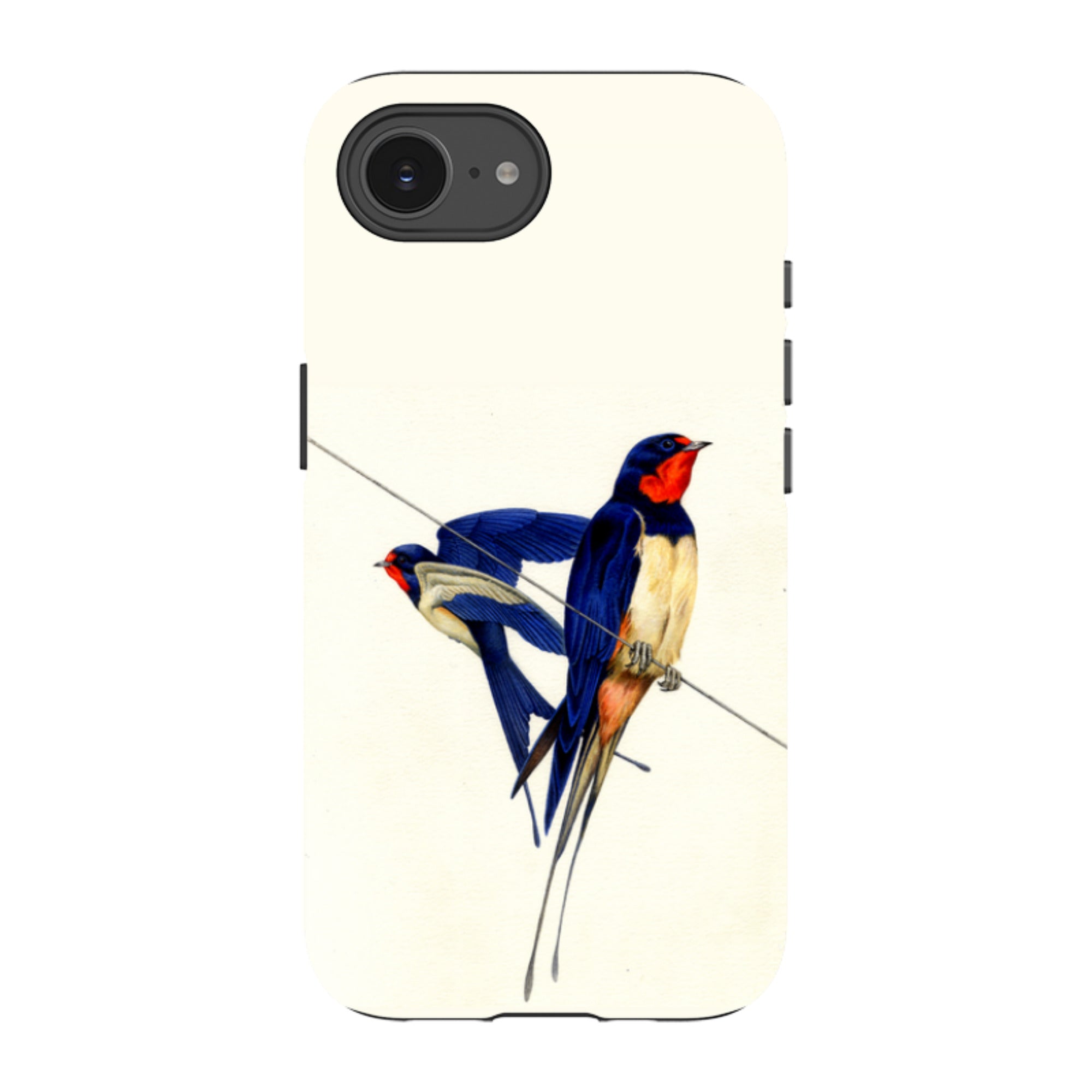 iPhone Tough Case - Swallows By Philip Hood
