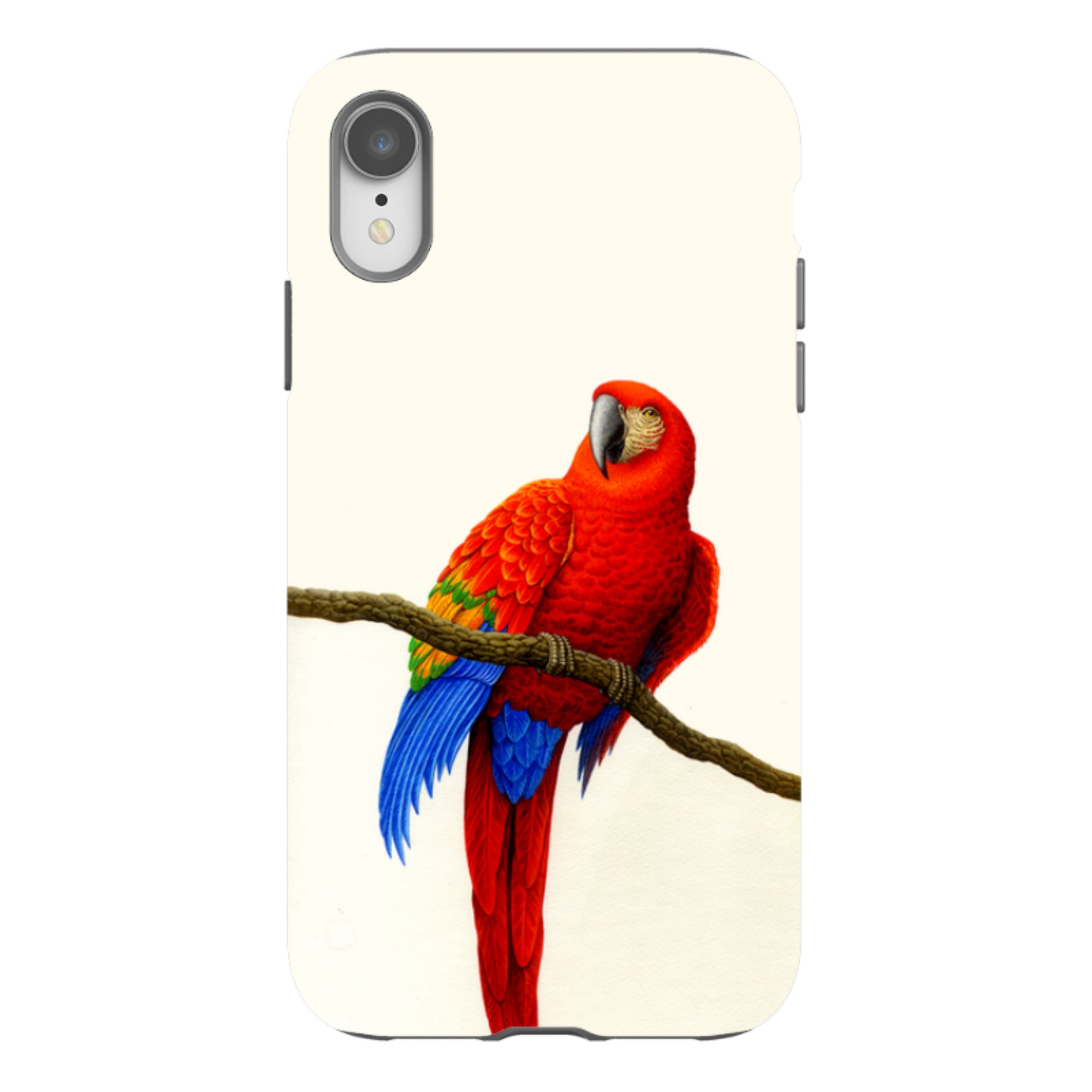 iPhone Tough Case - Scarlet Macaw By Philip Hood