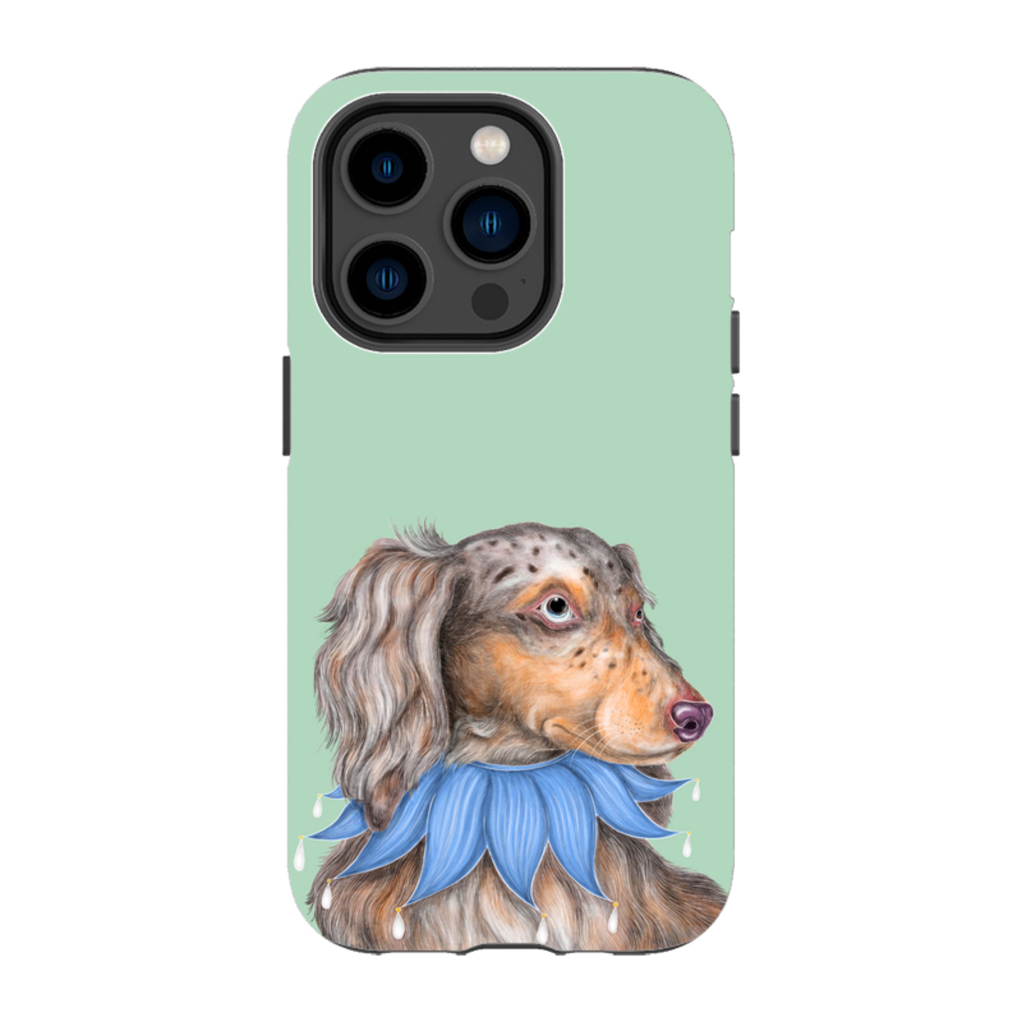 iPhone MagSafe Tough Case - Dachshund By Catherine Rowe