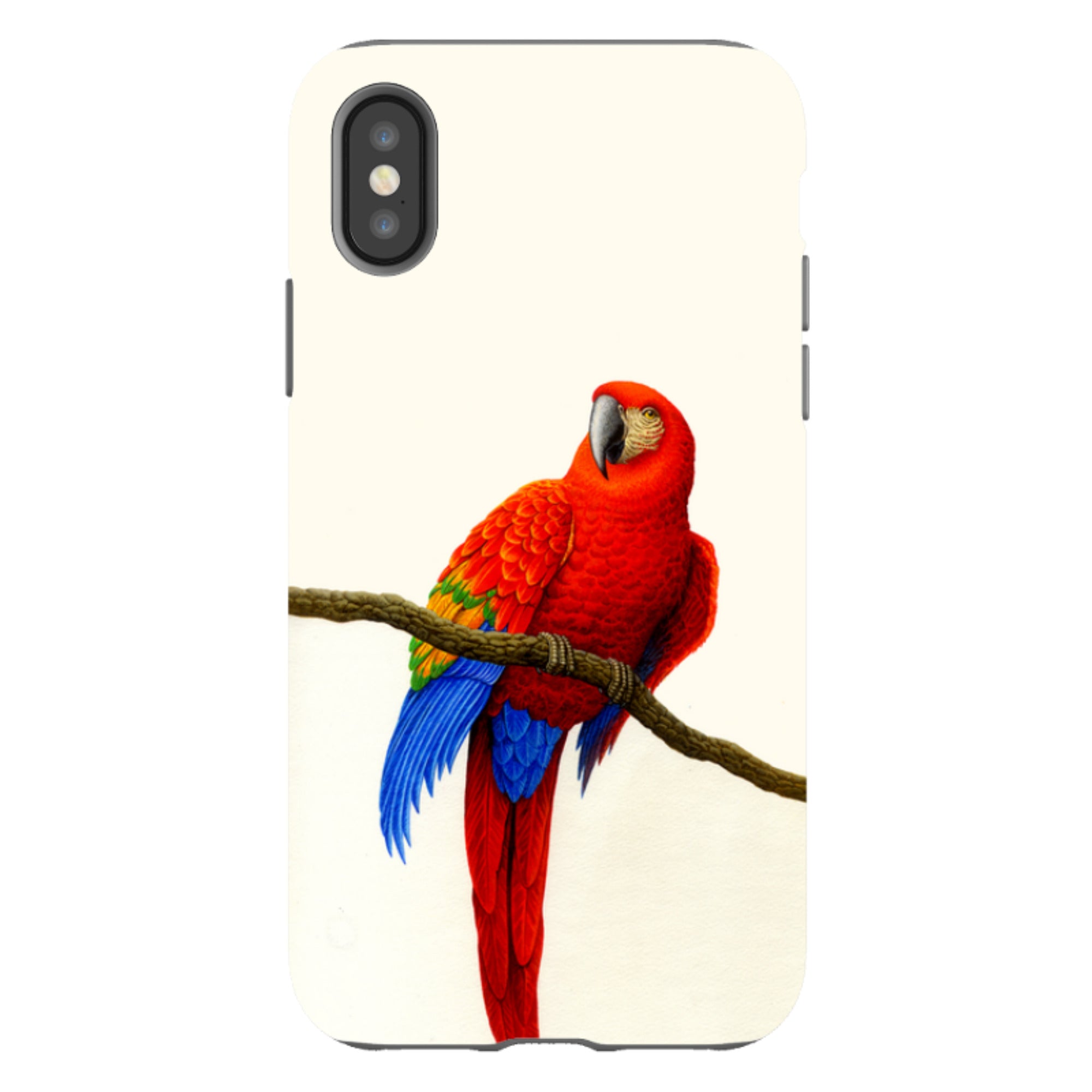 iPhone Tough Case - Scarlet Macaw By Philip Hood