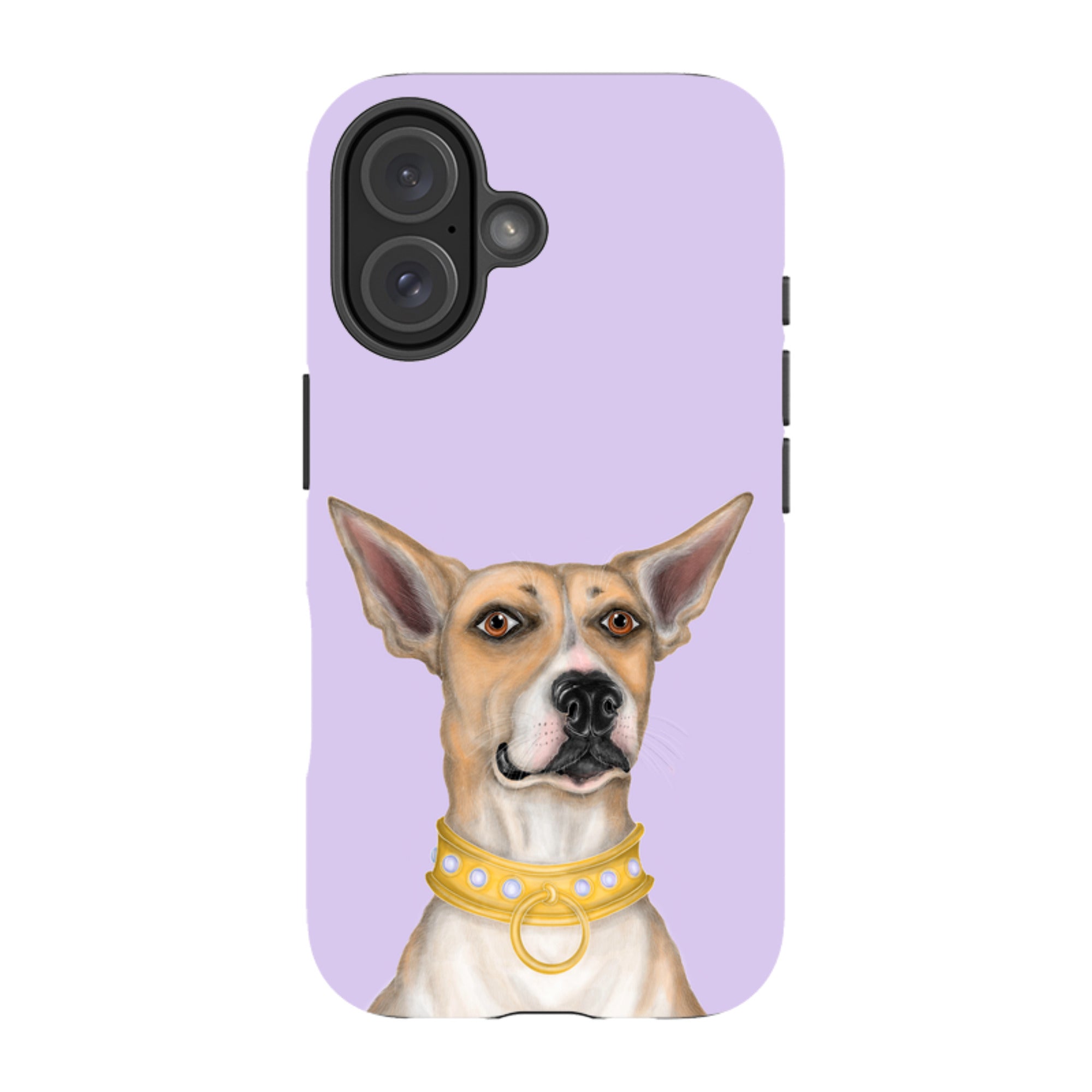 iPhone MagSafe Tough Case - Basenji By Catherine Rowe