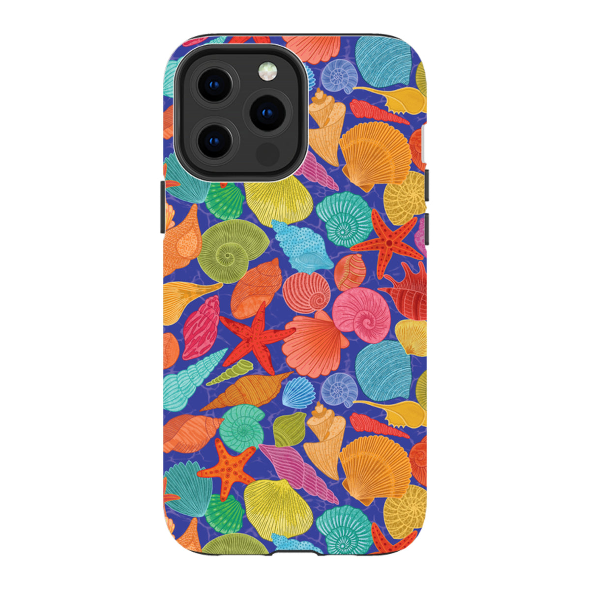 iPhone Case - Shells By Natalie Pedetti Prack