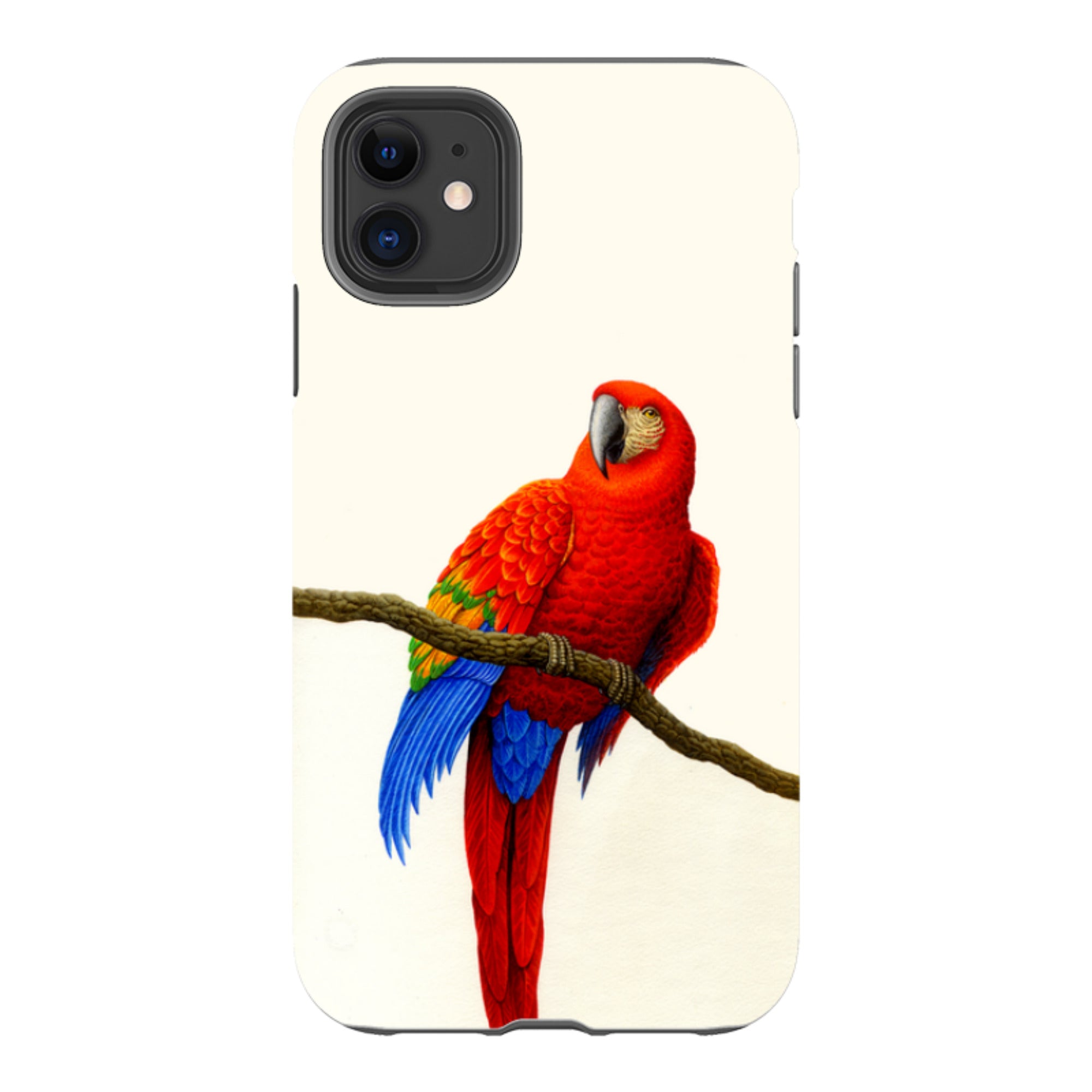 iPhone Tough Case - Scarlet Macaw By Philip Hood