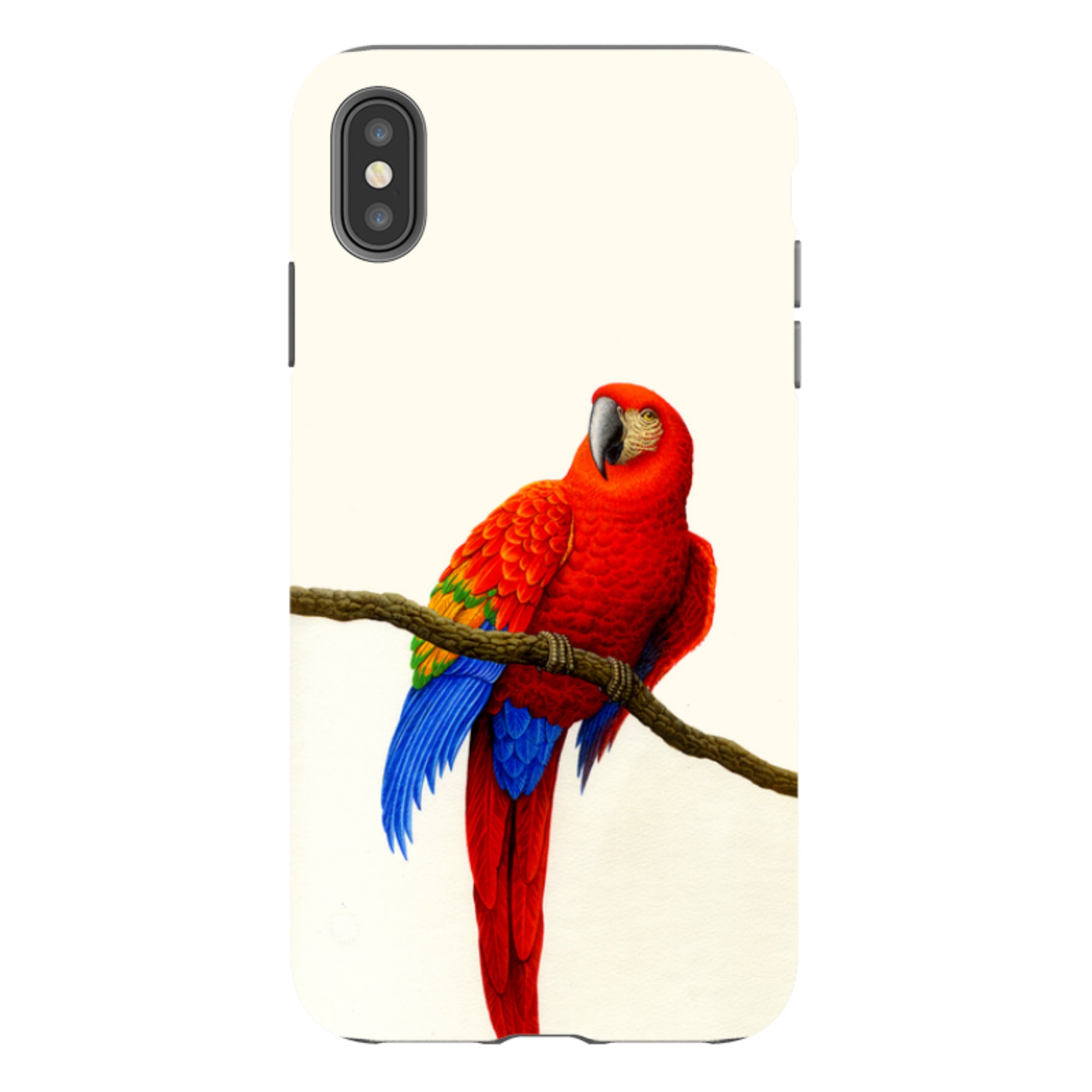 iPhone Tough Case - Scarlet Macaw By Philip Hood