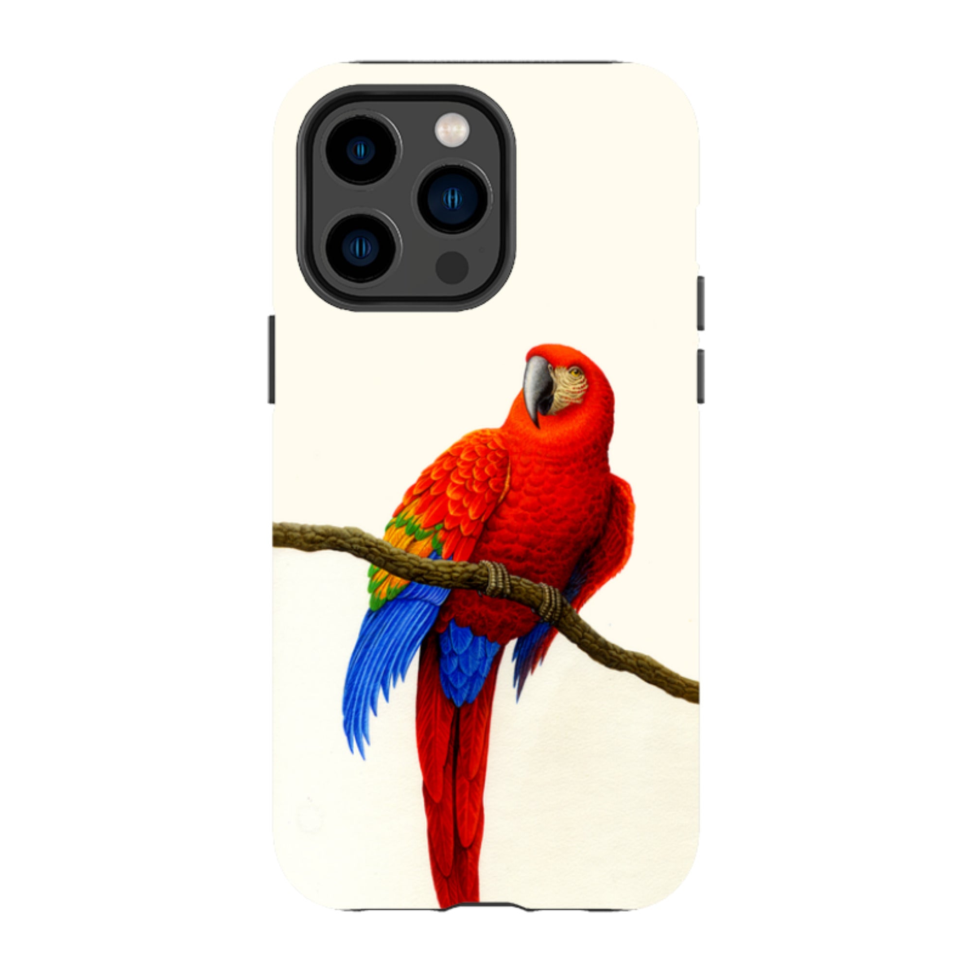 iPhone MagSafe Tough Case -  Scarlett Macaw By Philip Hood