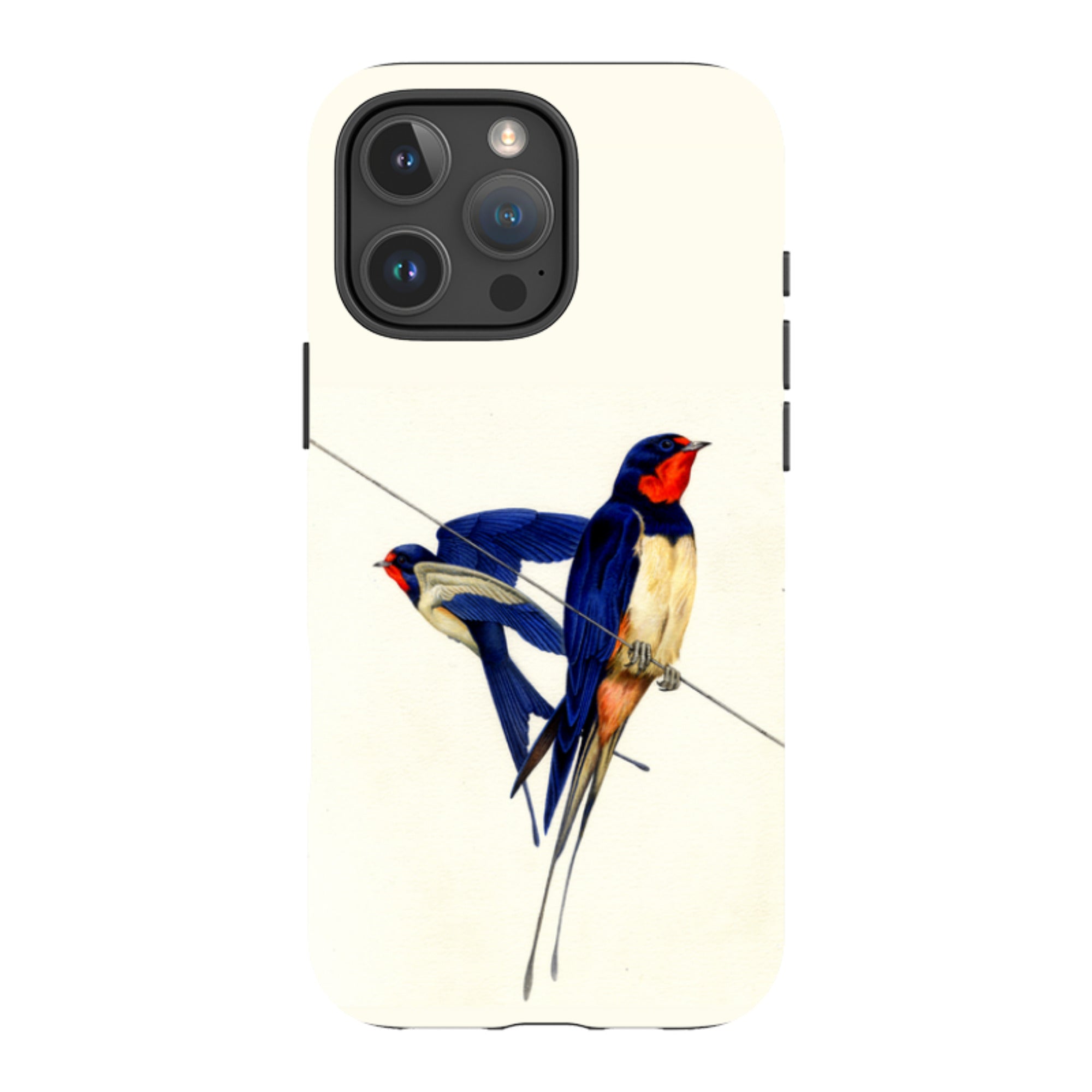 iPhone Tough Case - Swallows By Philip Hood