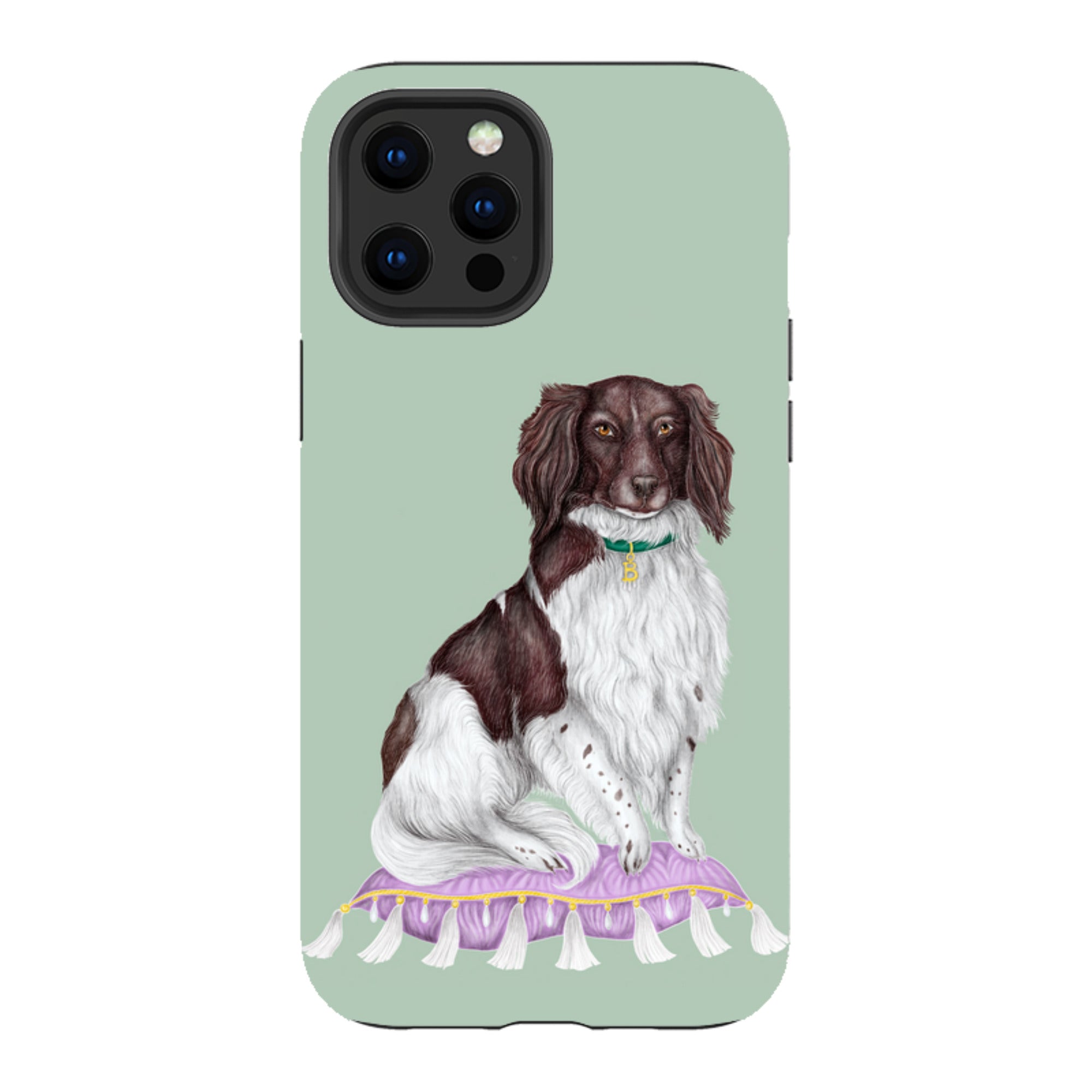 iPhone Tough Case - Spaniel By Catherine Rowe