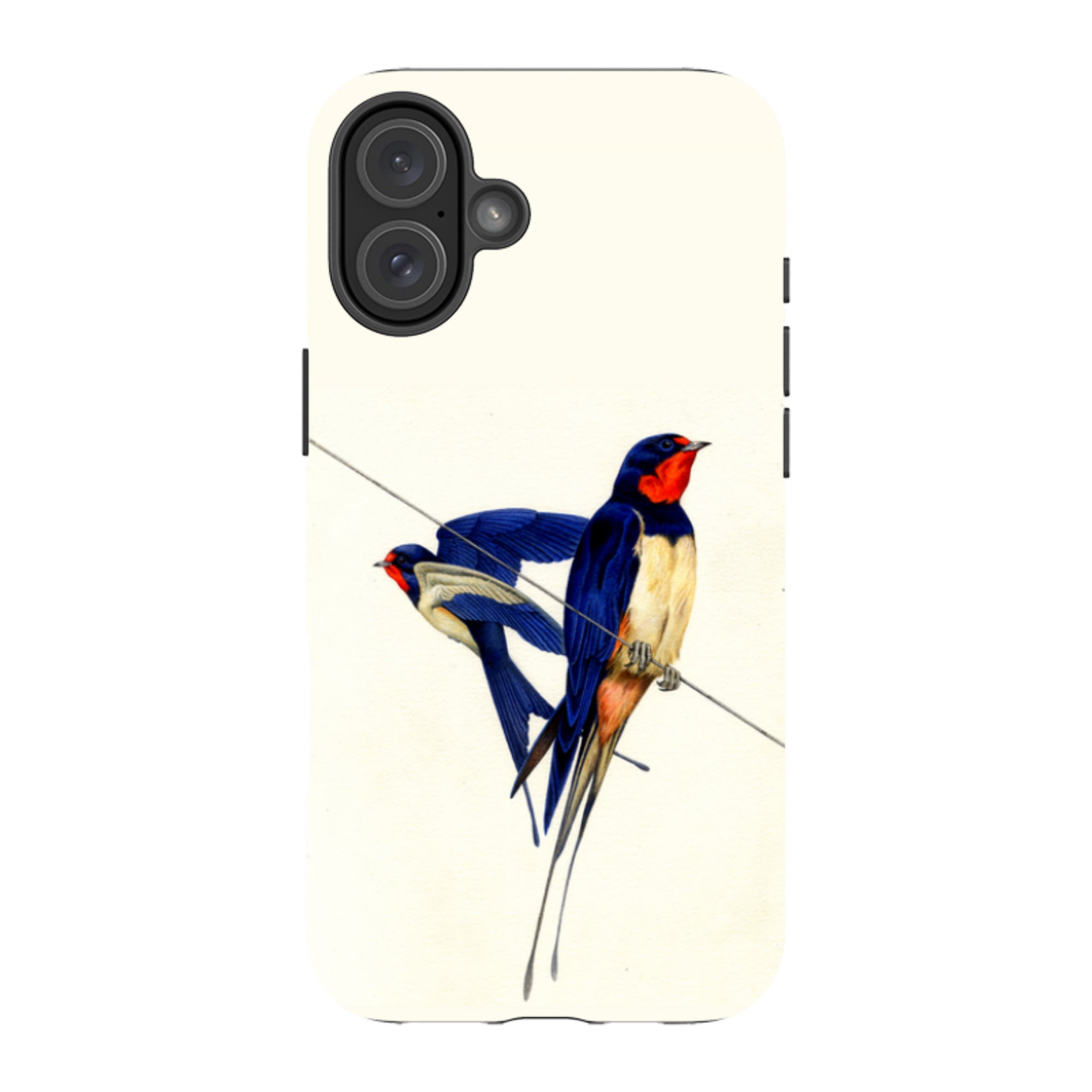 iPhone Tough Case - Swallows By Philip Hood