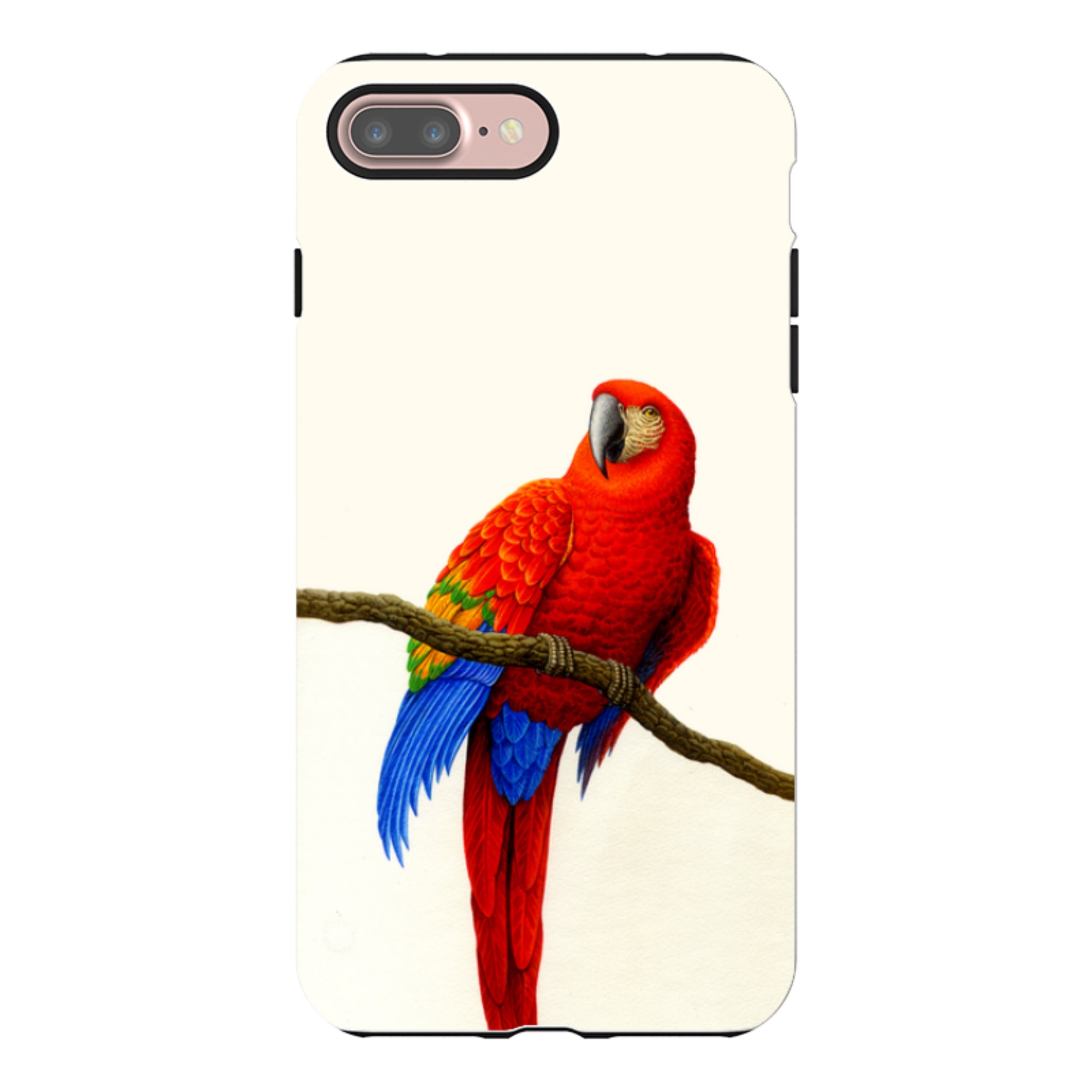 iPhone Tough Case - Scarlet Macaw By Philip Hood