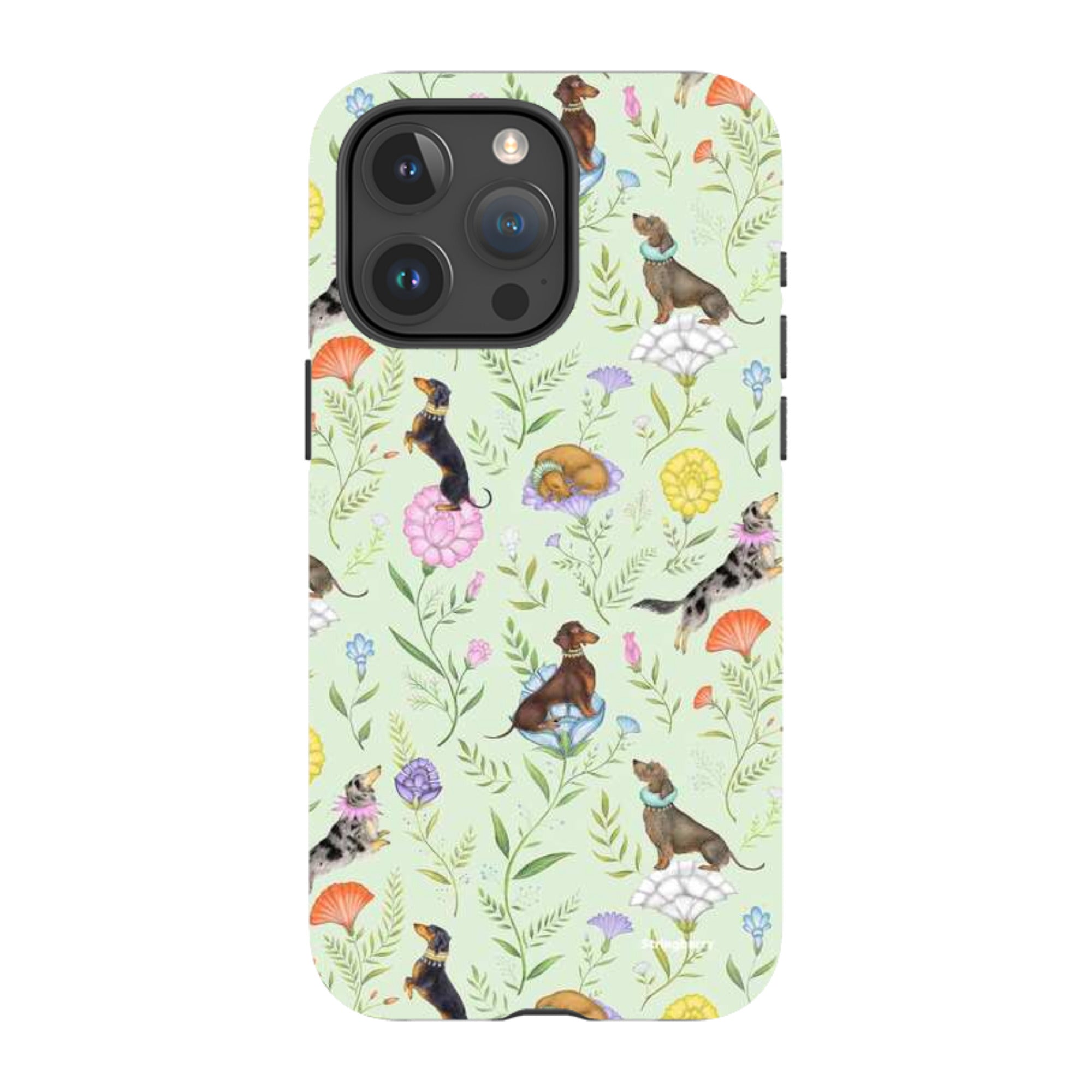 iPhone MagSafe Tough Case -  Doxy Day Afternoon Pistachio By Catherine Rowe