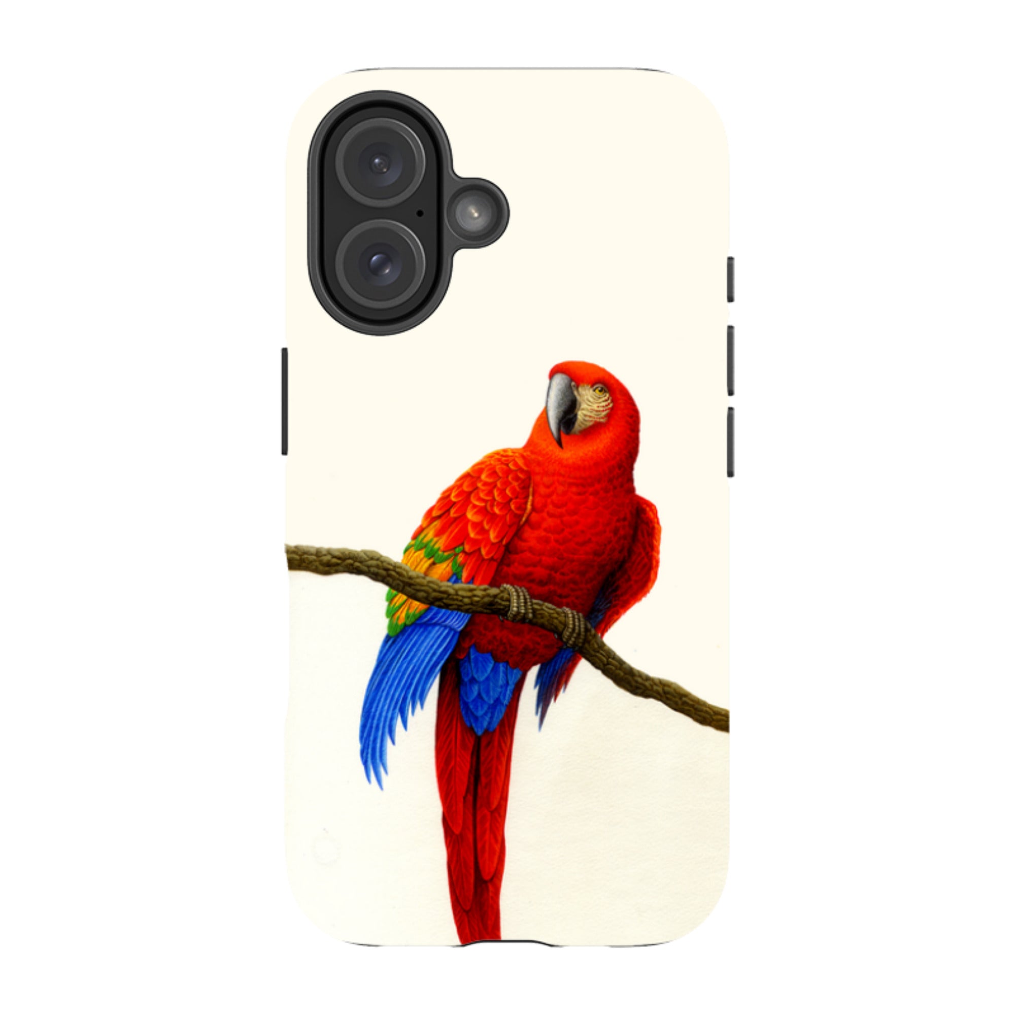 iPhone Tough Case - Scarlet Macaw By Philip Hood