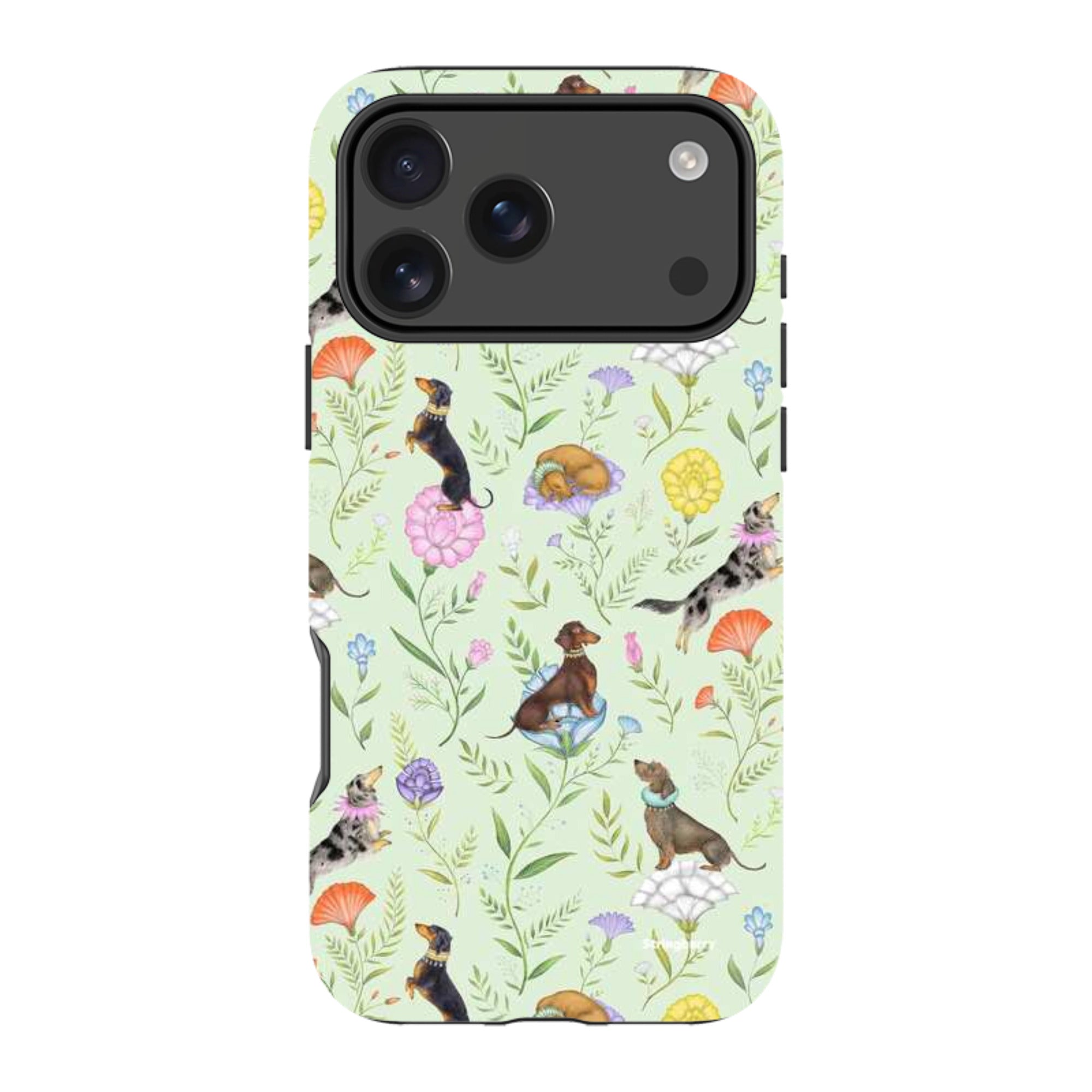 iPhone MagSafe Tough Case -  Doxy Day Afternoon Pistachio By Catherine Rowe