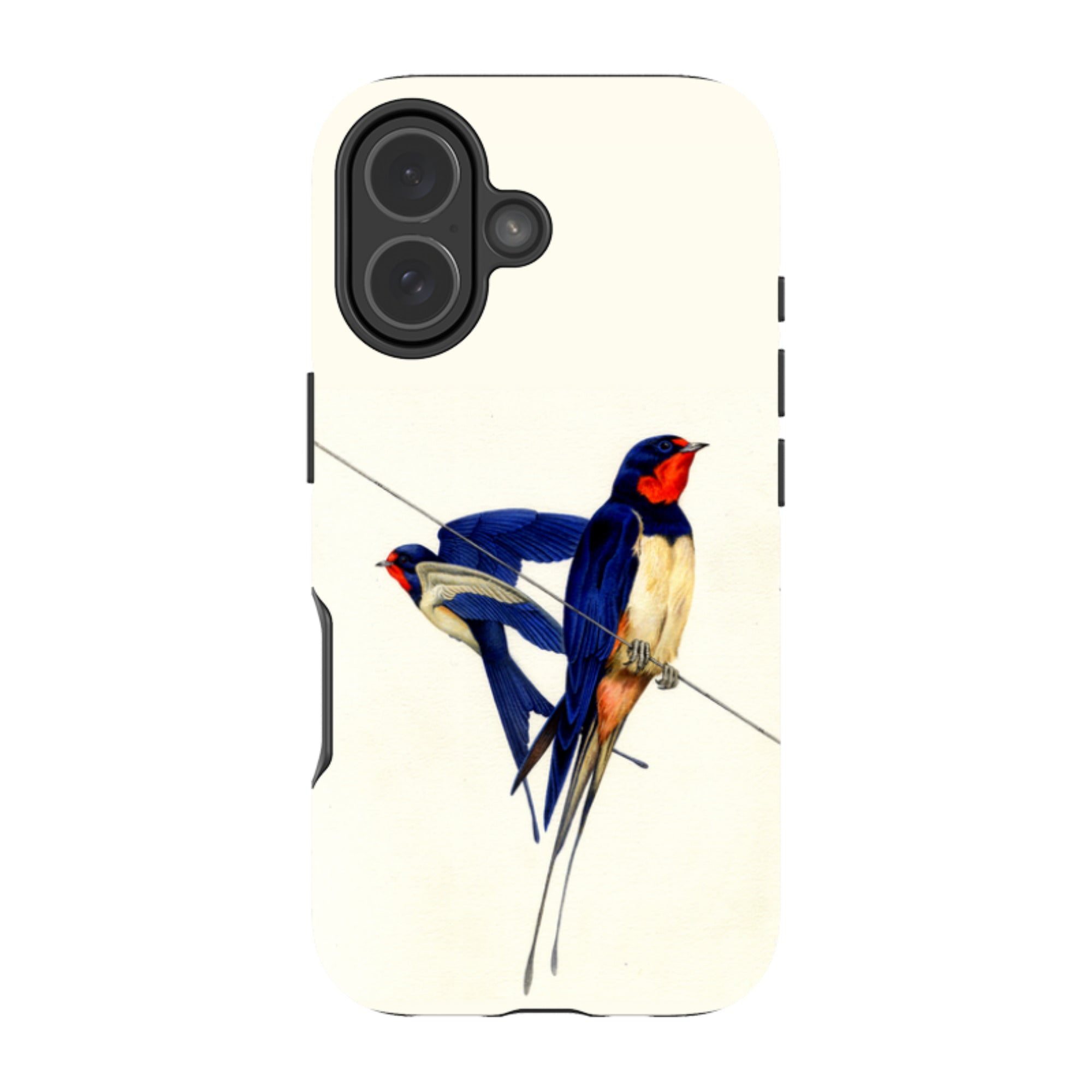 iPhone Tough Case - Swallows By Philip Hood