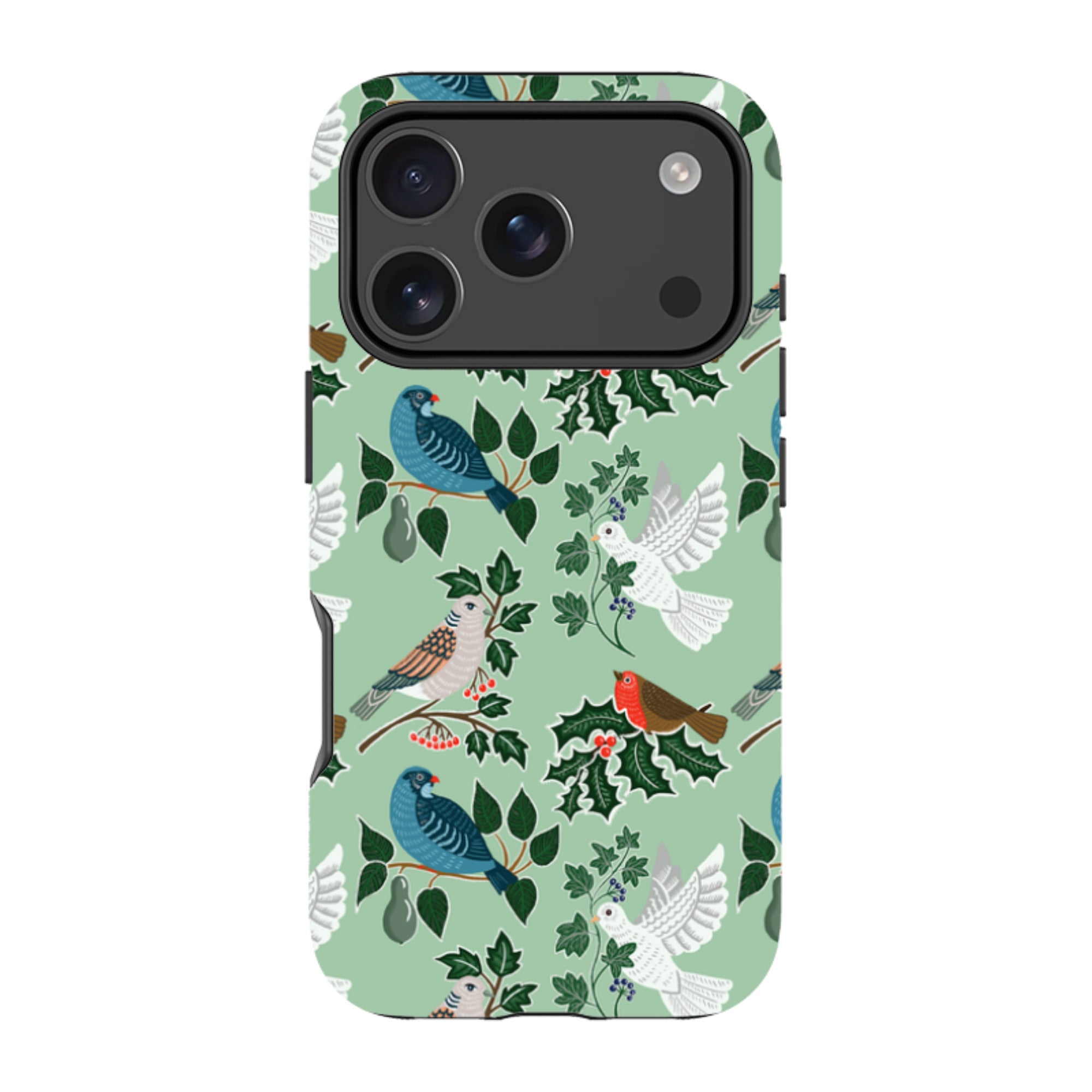 iPhone Tough Case - Winter Birds-1 By kate Heiss