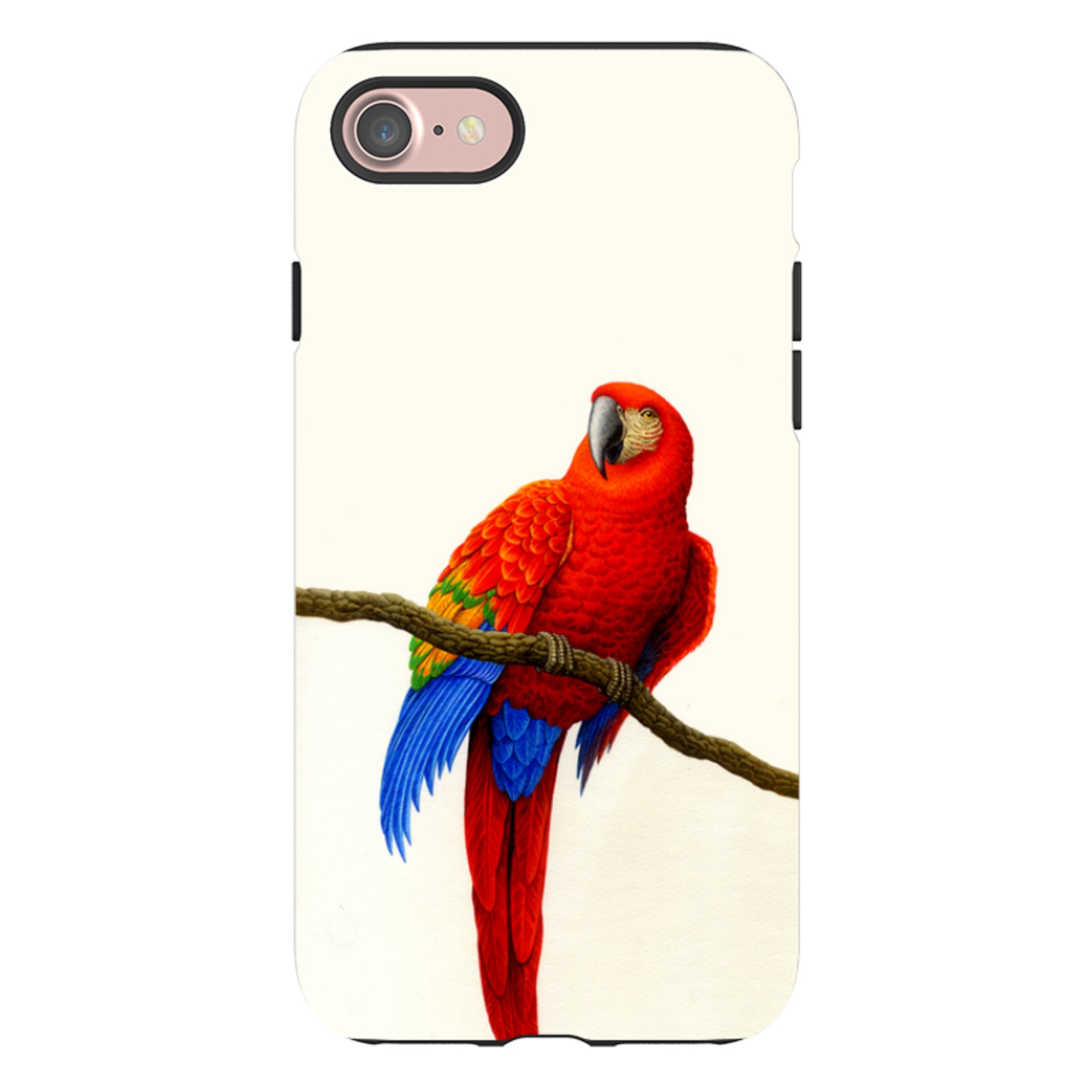 iPhone Tough Case - Scarlet Macaw By Philip Hood
