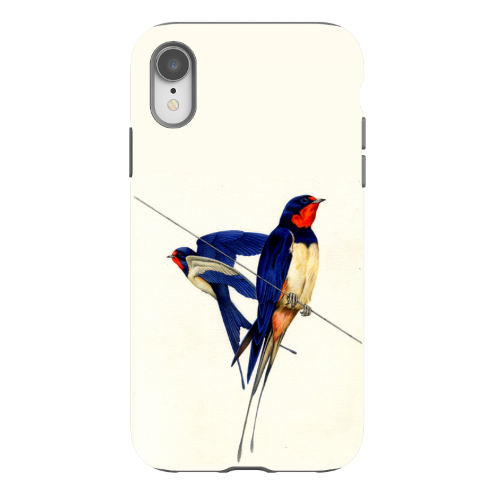 iPhone Tough Case - Swallows By Philip Hood