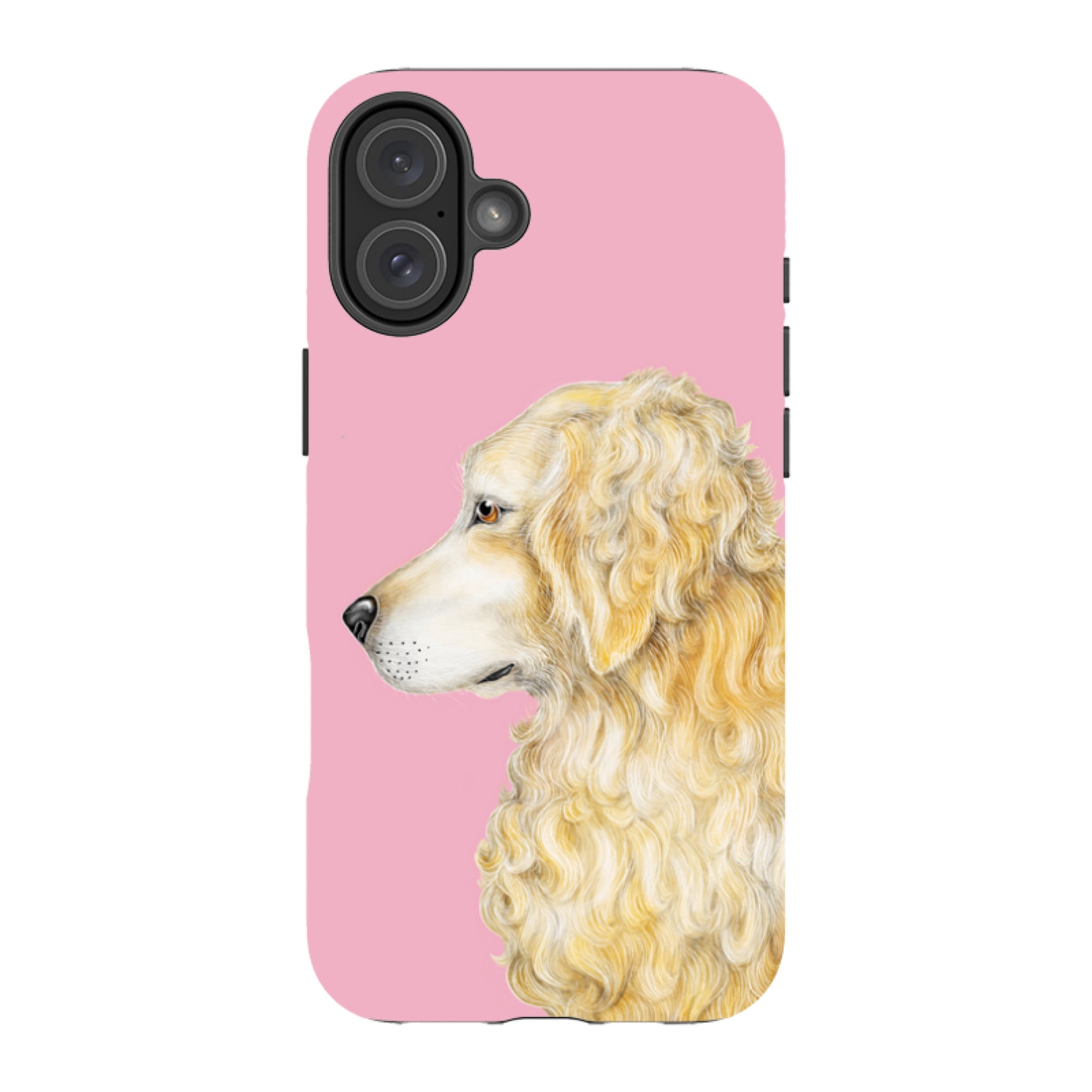 iPhone MagSafe Tough Case - Retriever By Catherine Rowe