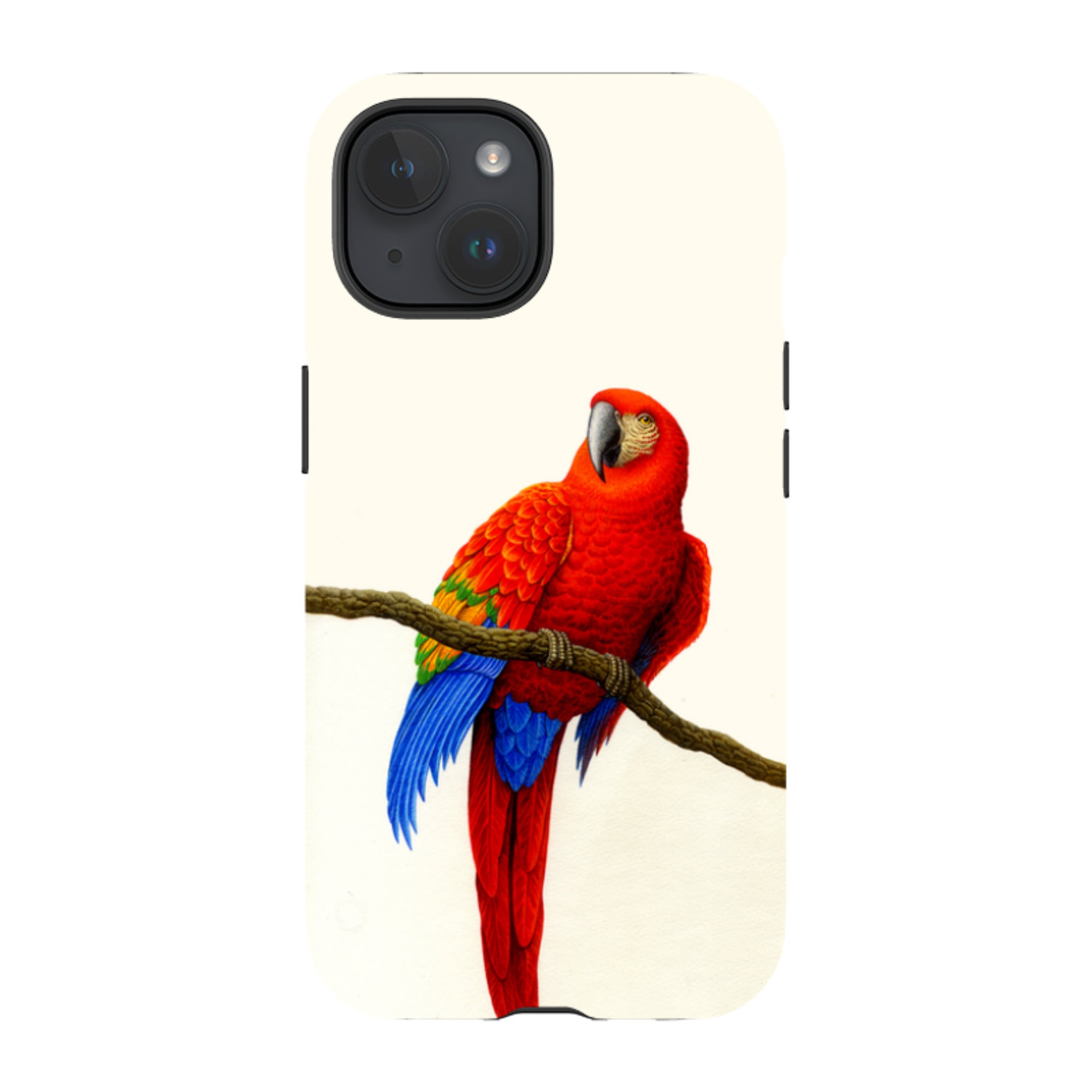 iPhone Tough Case - Scarlet Macaw By Philip Hood