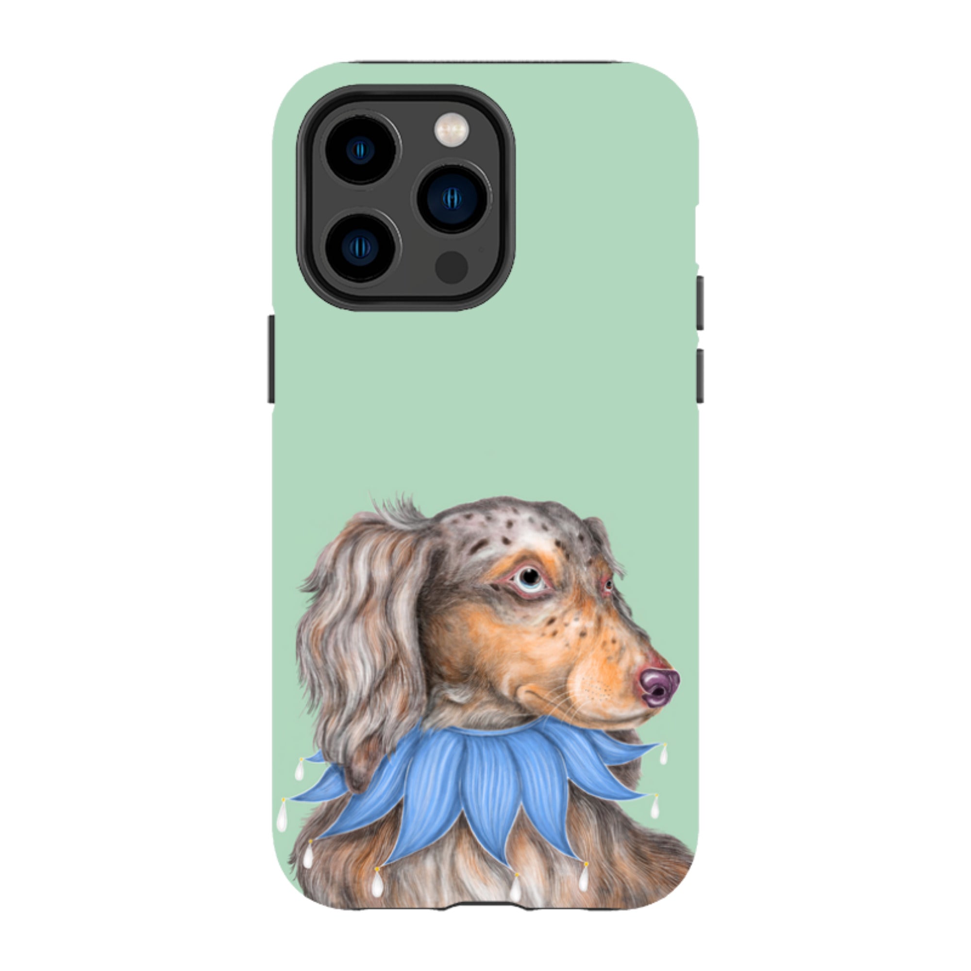 iPhone MagSafe Tough Case - Dachshund By Catherine Rowe