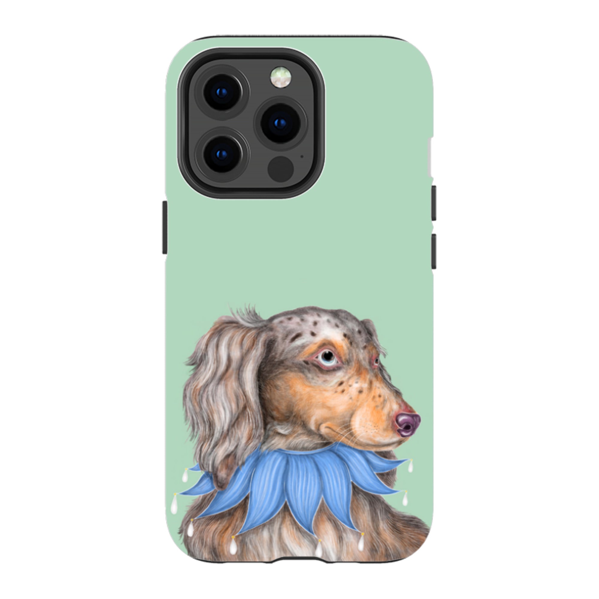 iPhone MagSafe Tough Case - Dachshund By Catherine Rowe