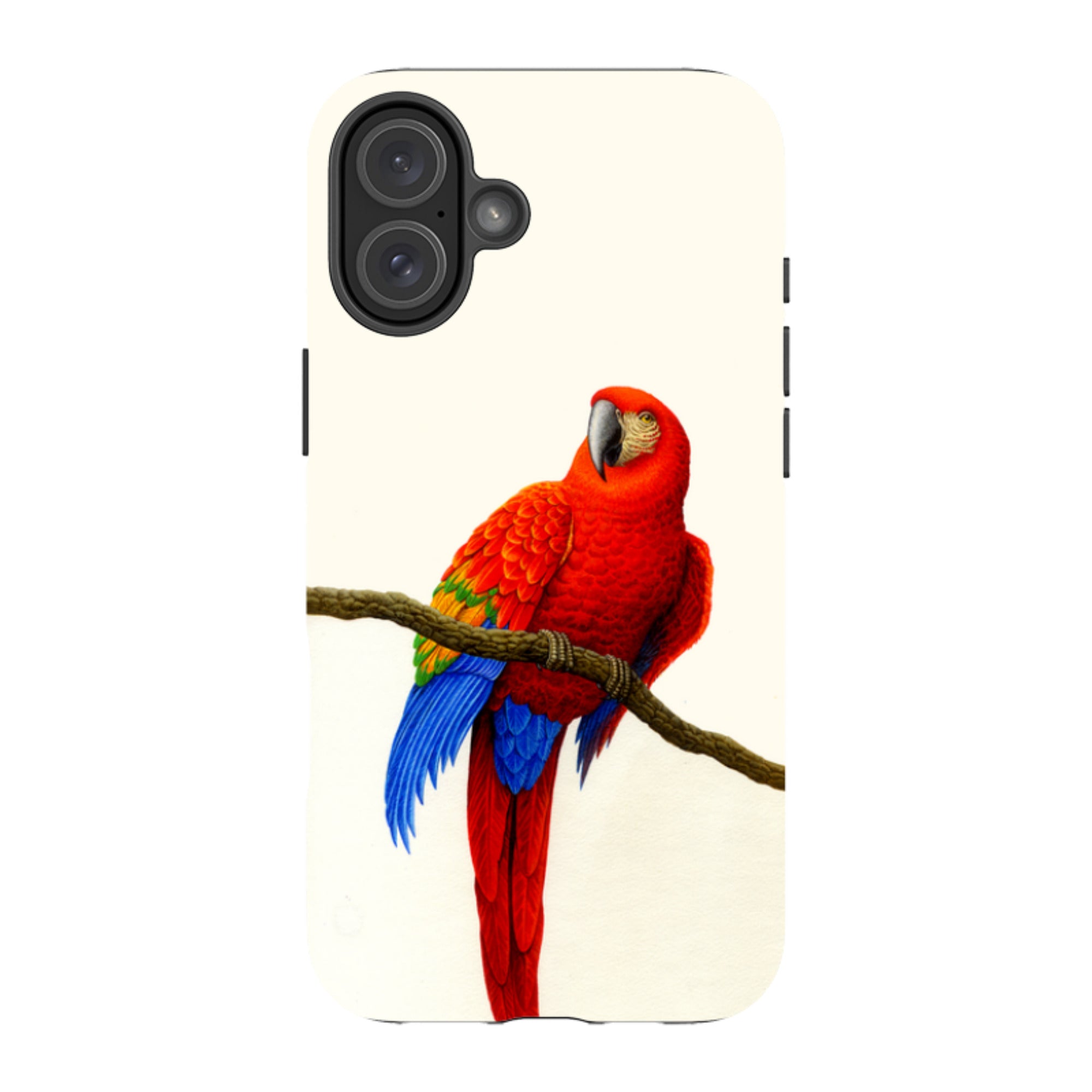 iPhone MagSafe Tough Case -  Scarlett Macaw By Philip Hood