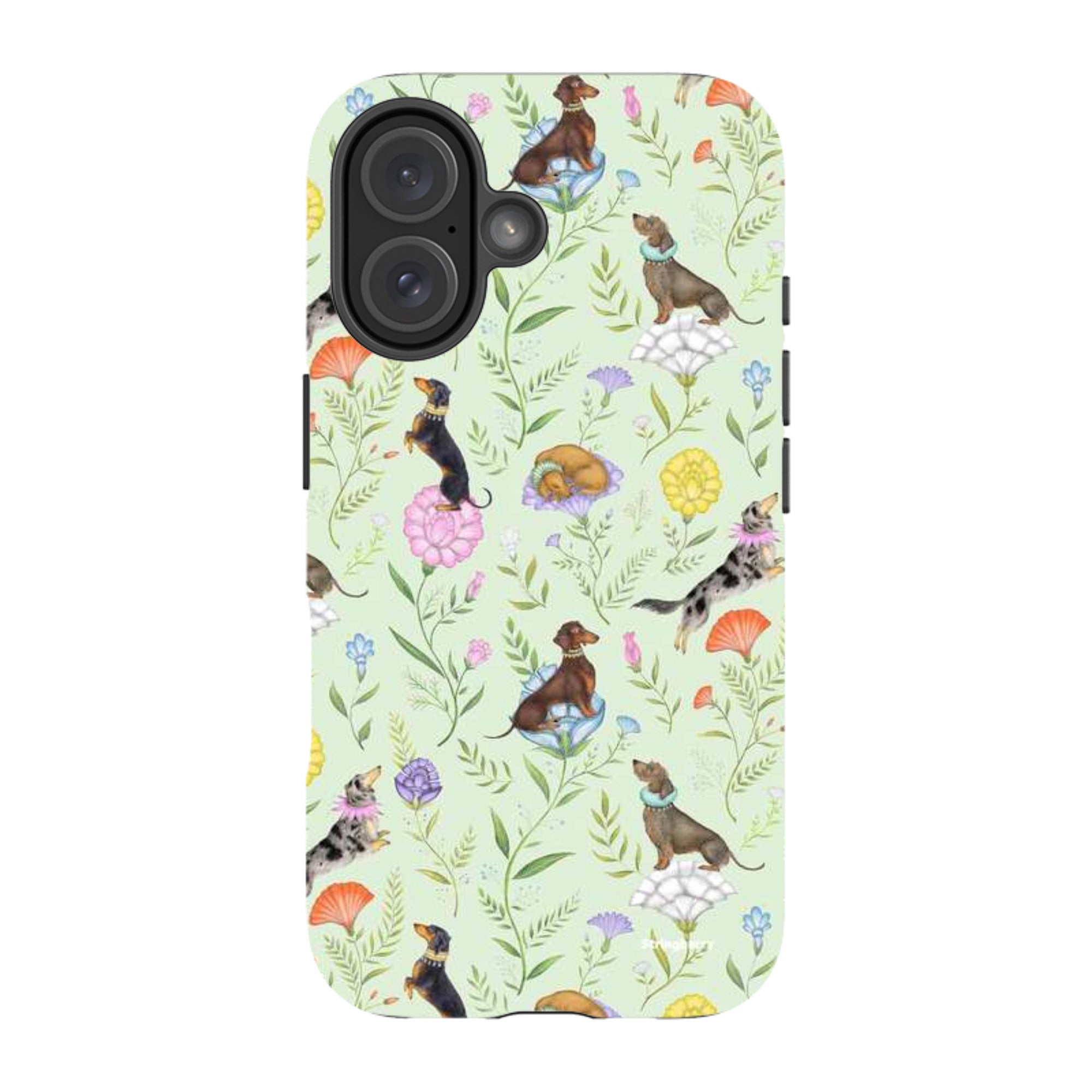 iPhone MagSafe Tough Case -  Doxy Day Afternoon Pistachio By Catherine Rowe