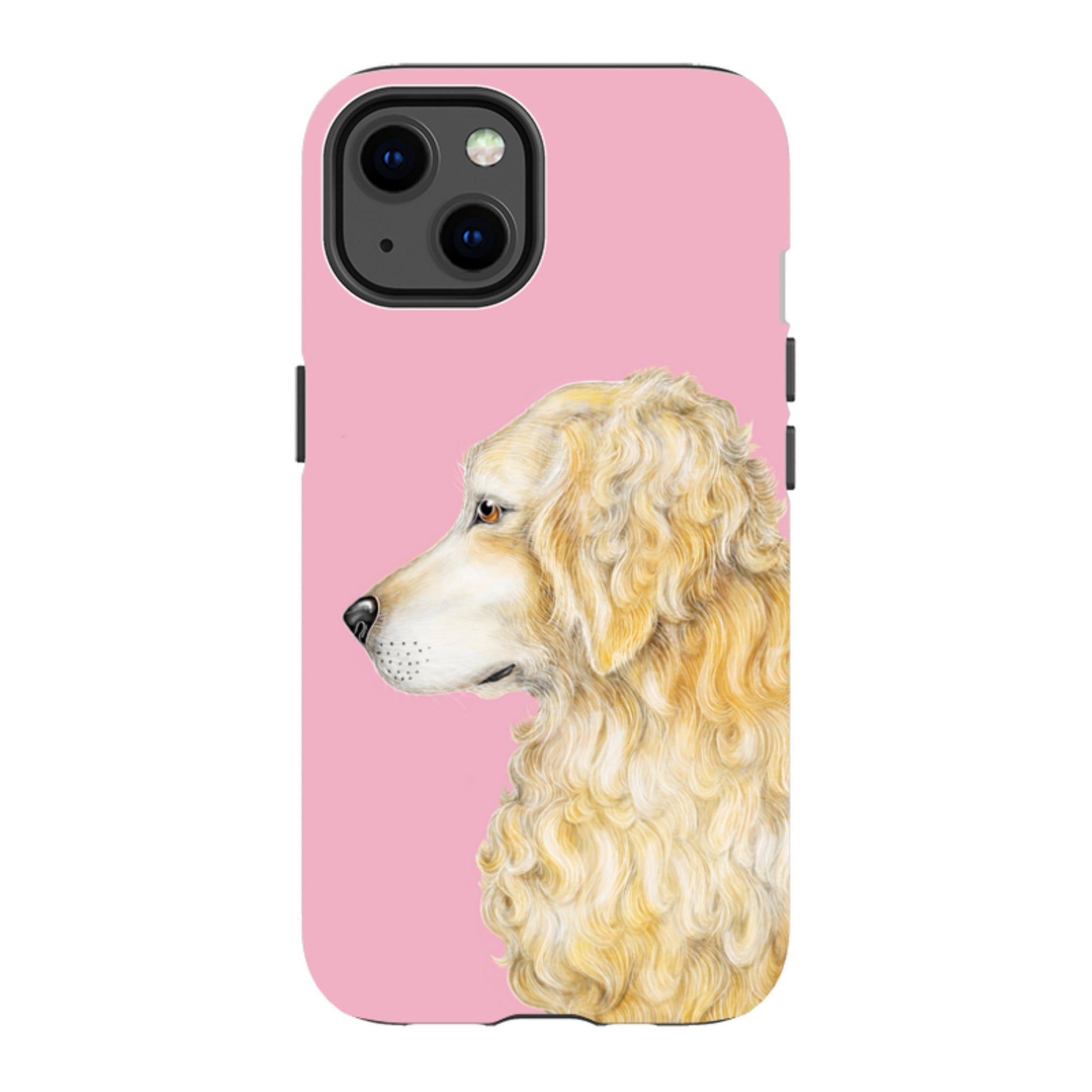 iPhone MagSafe Tough Case - Retriever By Catherine Rowe