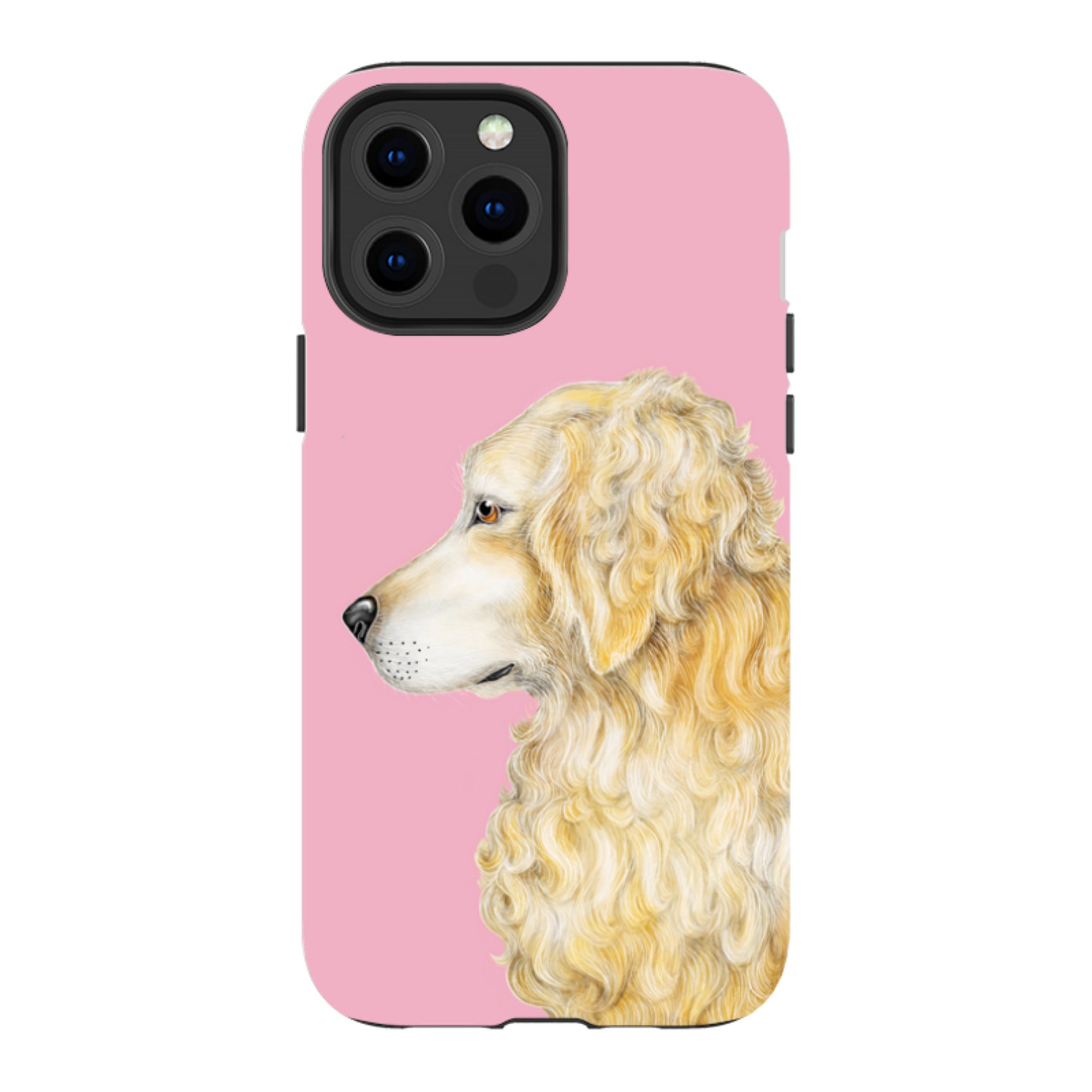 iPhone MagSafe Tough Case - Retriever By Catherine Rowe