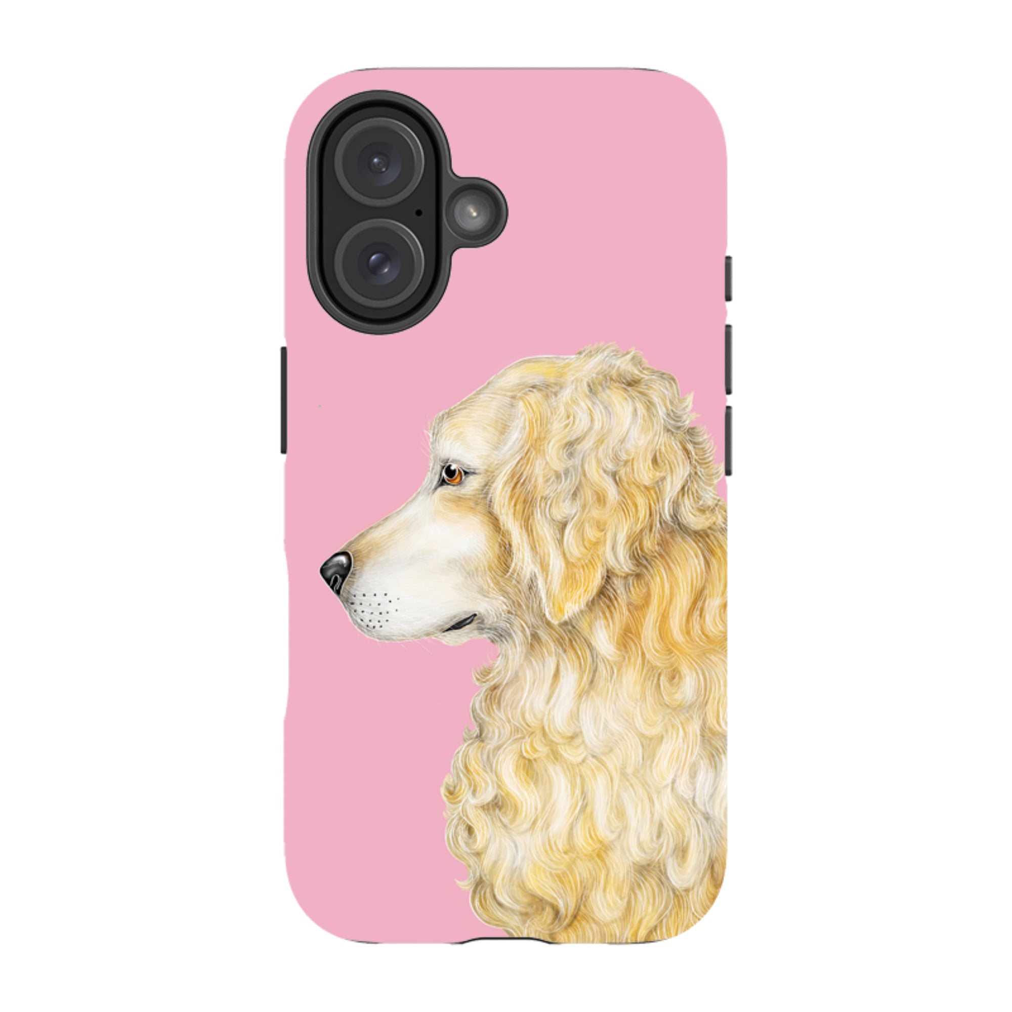 iPhone MagSafe Tough Case - Retriever By Catherine Rowe