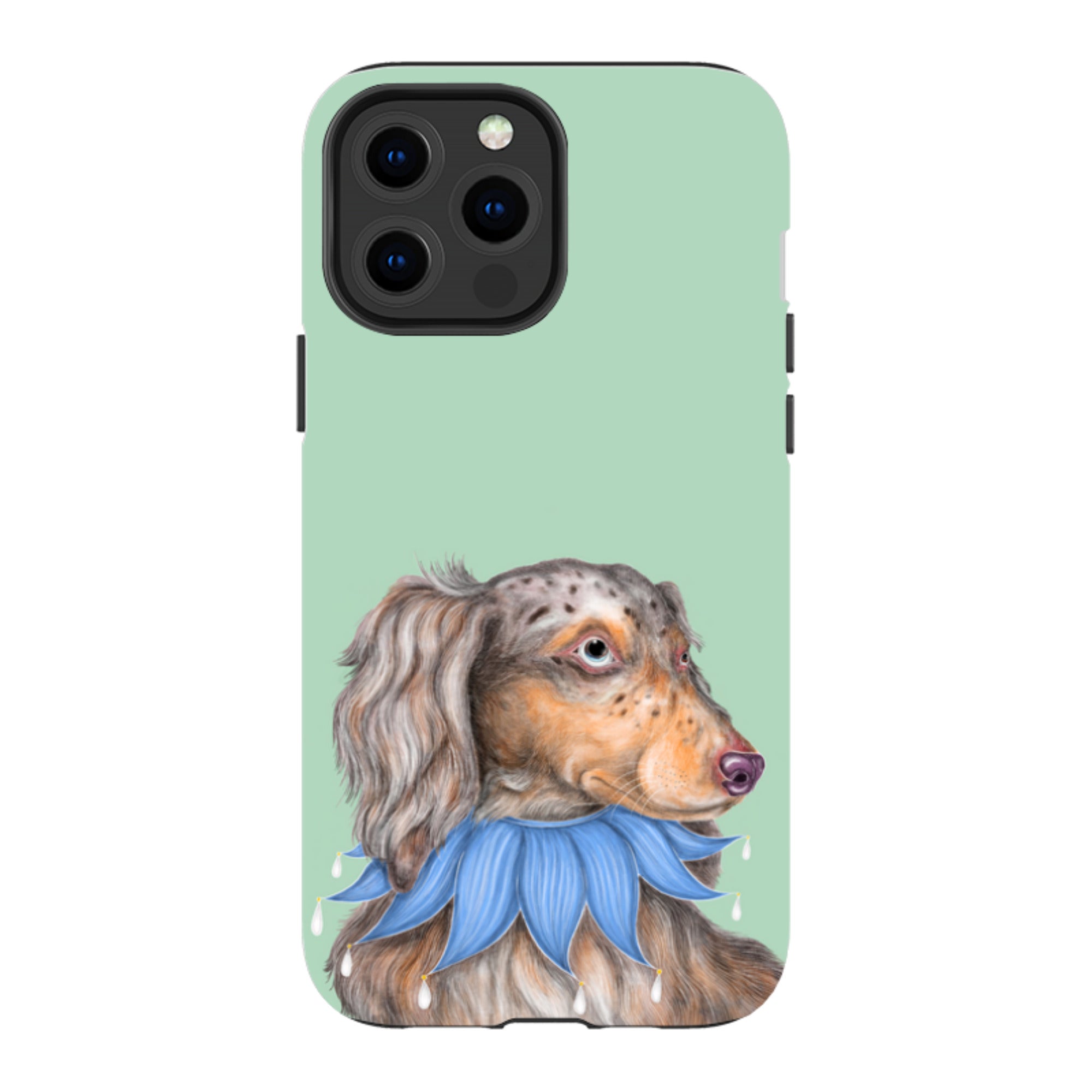 iPhone MagSafe Tough Case - Dachshund By Catherine Rowe
