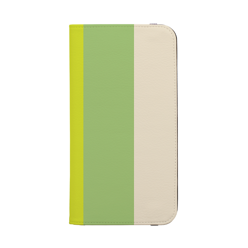 Vertical Stripe Wallet Case Jaipur Chroma