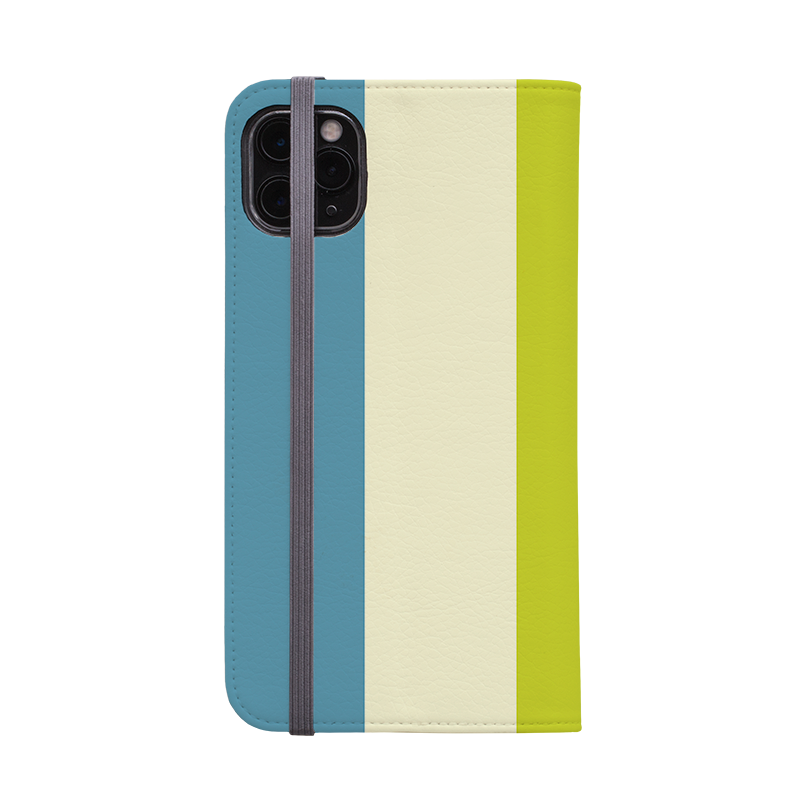 Vertical Stripe Wallet Case Jaipur Chroma