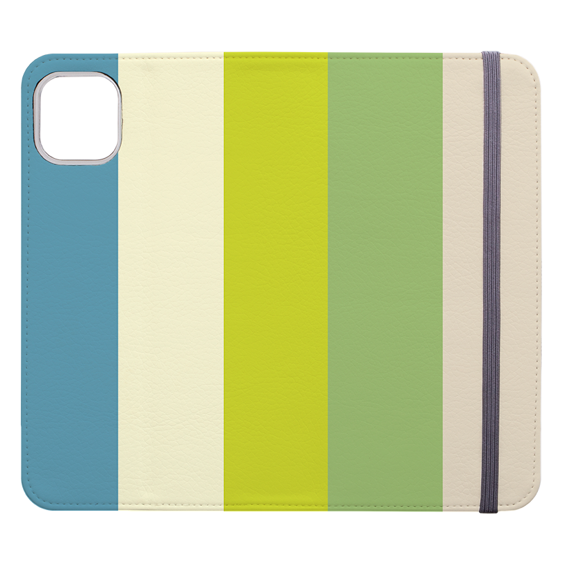 Vertical Stripe Wallet Case Jaipur Chroma