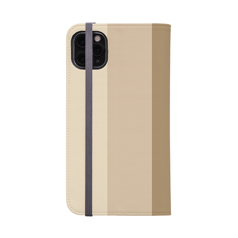 Vertical Stripe Wallet Case Seoul Chroma