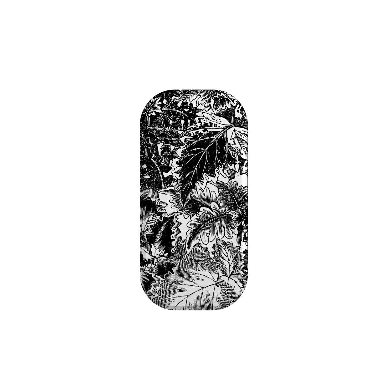 Clearwood Phone Stand