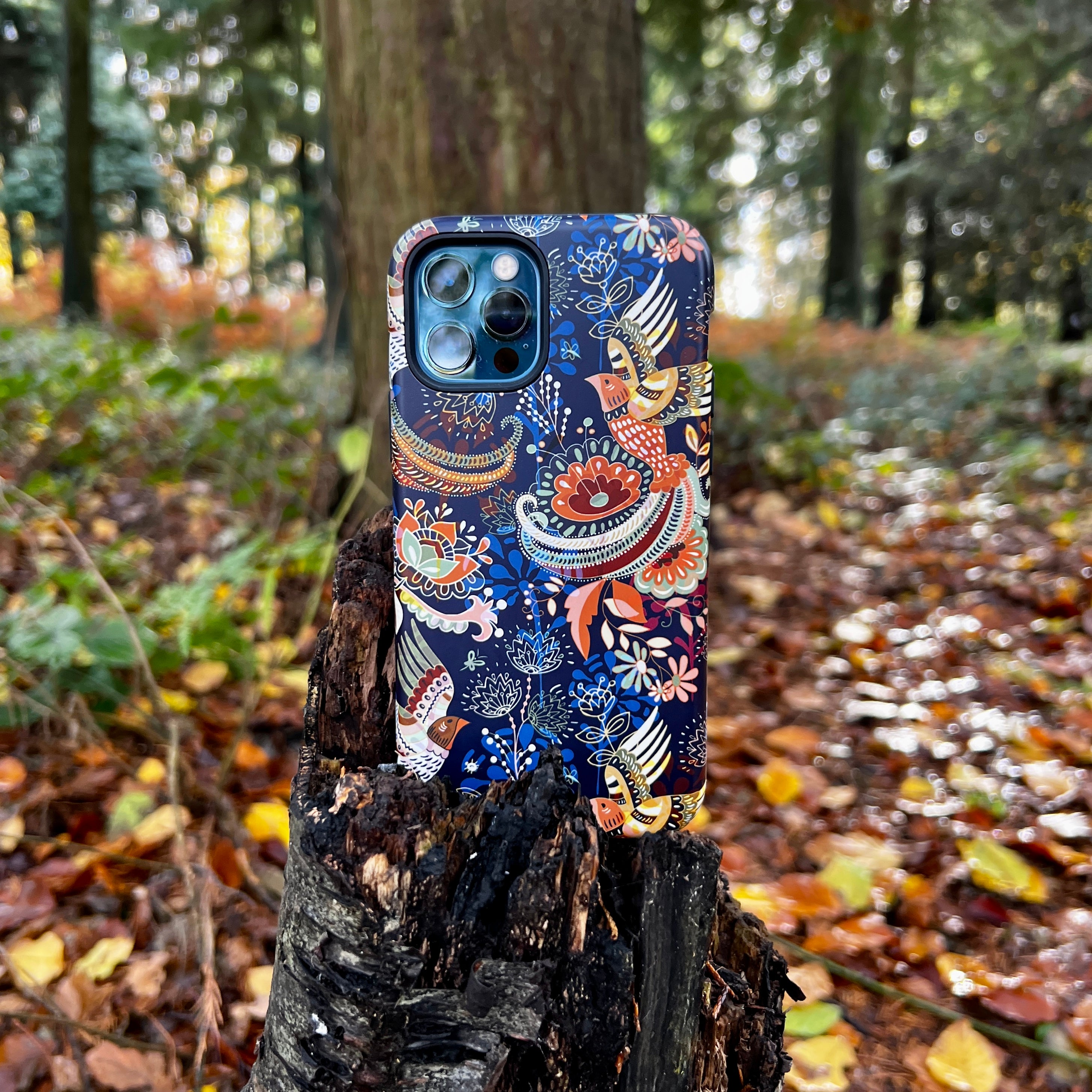 iPhone Tough Case - Peaslake