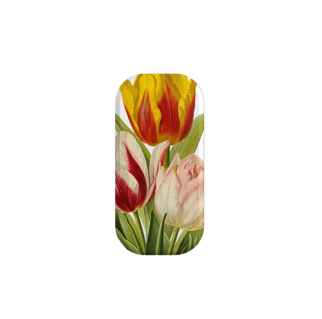 With Tulips Phone Stand