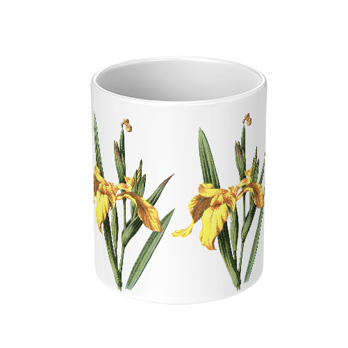Acacia Ceramic Mug