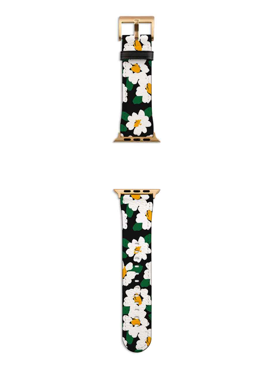 Discovery Apple Watch Strap