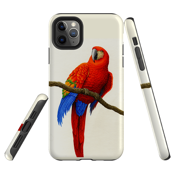 iPhone phone case-Scarlet Macaw By Philip Hood-Product Details Raised bevel to protect screen from scratches. Impact resistant polycarbonate shell and shock absorbing inner TPU liner. Secure fit with design wrapping around side of the case and full access to ports. Compatible with Qi-standard wireless charging. Thickness 1/8 inch (3mm), weight 30g. Compatibility See drop down menu for options, please select the right case as we print to order.-Stringberry