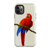 iPhone phone case-Scarlet Macaw By Philip Hood-Product Details Raised bevel to protect screen from scratches. Impact resistant polycarbonate shell and shock absorbing inner TPU liner. Secure fit with design wrapping around side of the case and full access to ports. Compatible with Qi-standard wireless charging. Thickness 1/8 inch (3mm), weight 30g. Compatibility See drop down menu for options, please select the right case as we print to order.-Stringberry