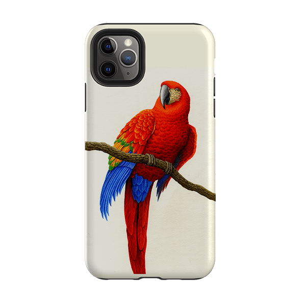 iPhone phone case-Scarlet Macaw By Philip Hood-Product Details Raised bevel to protect screen from scratches. Impact resistant polycarbonate shell and shock absorbing inner TPU liner. Secure fit with design wrapping around side of the case and full access to ports. Compatible with Qi-standard wireless charging. Thickness 1/8 inch (3mm), weight 30g. Compatibility See drop down menu for options, please select the right case as we print to order.-Stringberry