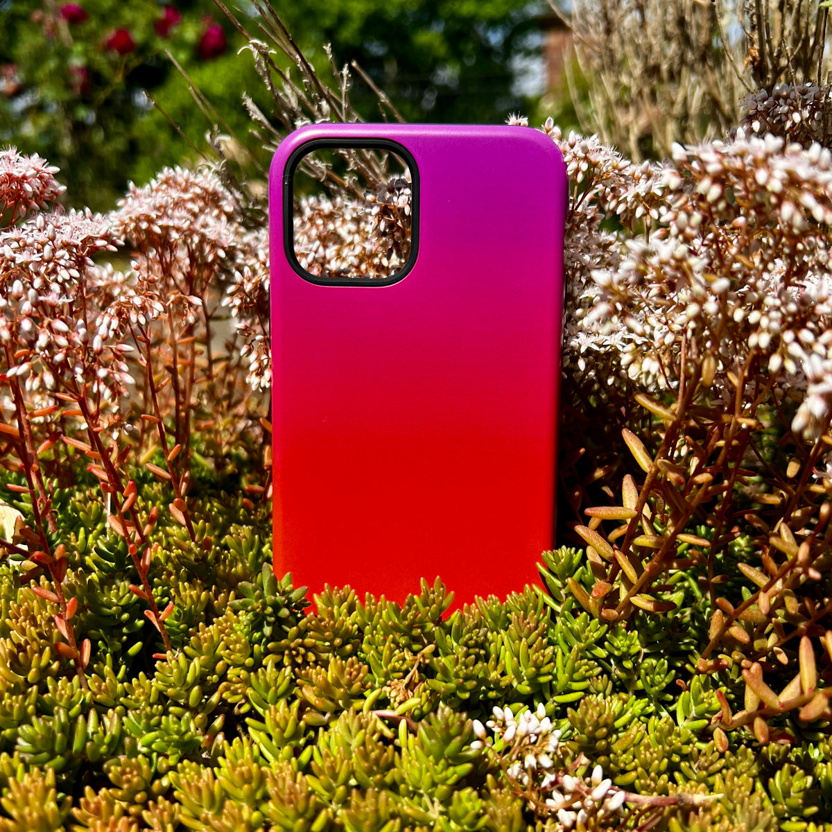 iPhone tough case with a vibrant magenta to red gradient design, nestled among garden greenery and flowers.