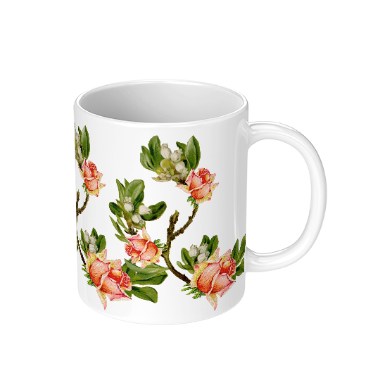 Irish Ceramic Mug