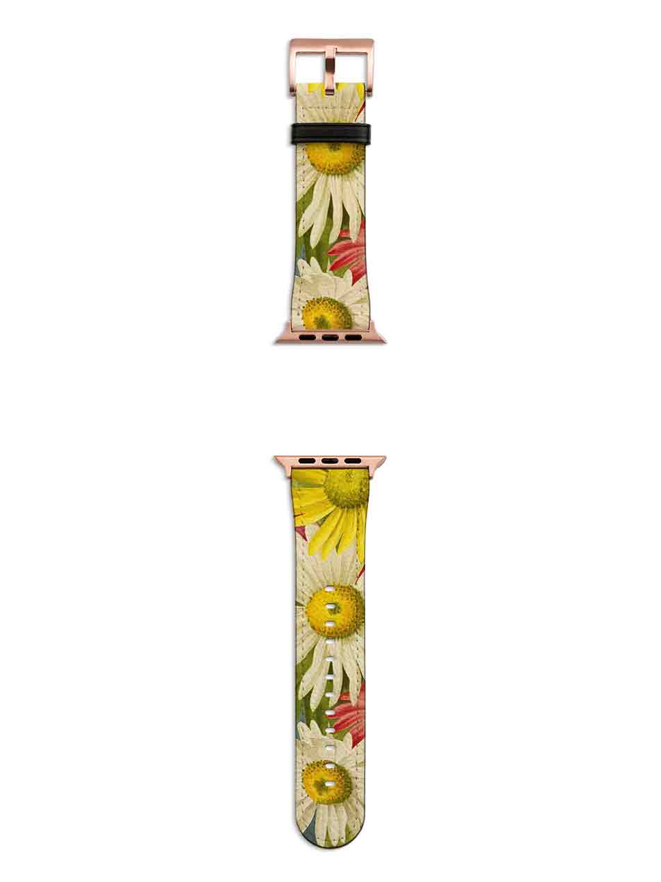 Sun-Life Apple Watch Strap