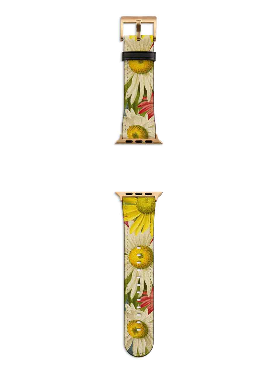 Sun-Life Apple Watch Strap