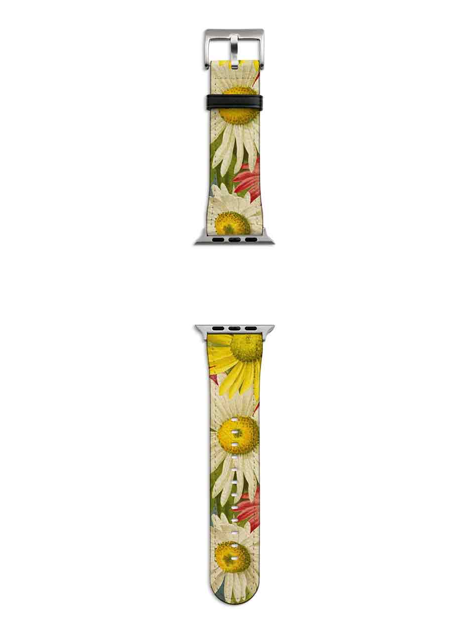 Sun-Life Apple Watch Strap